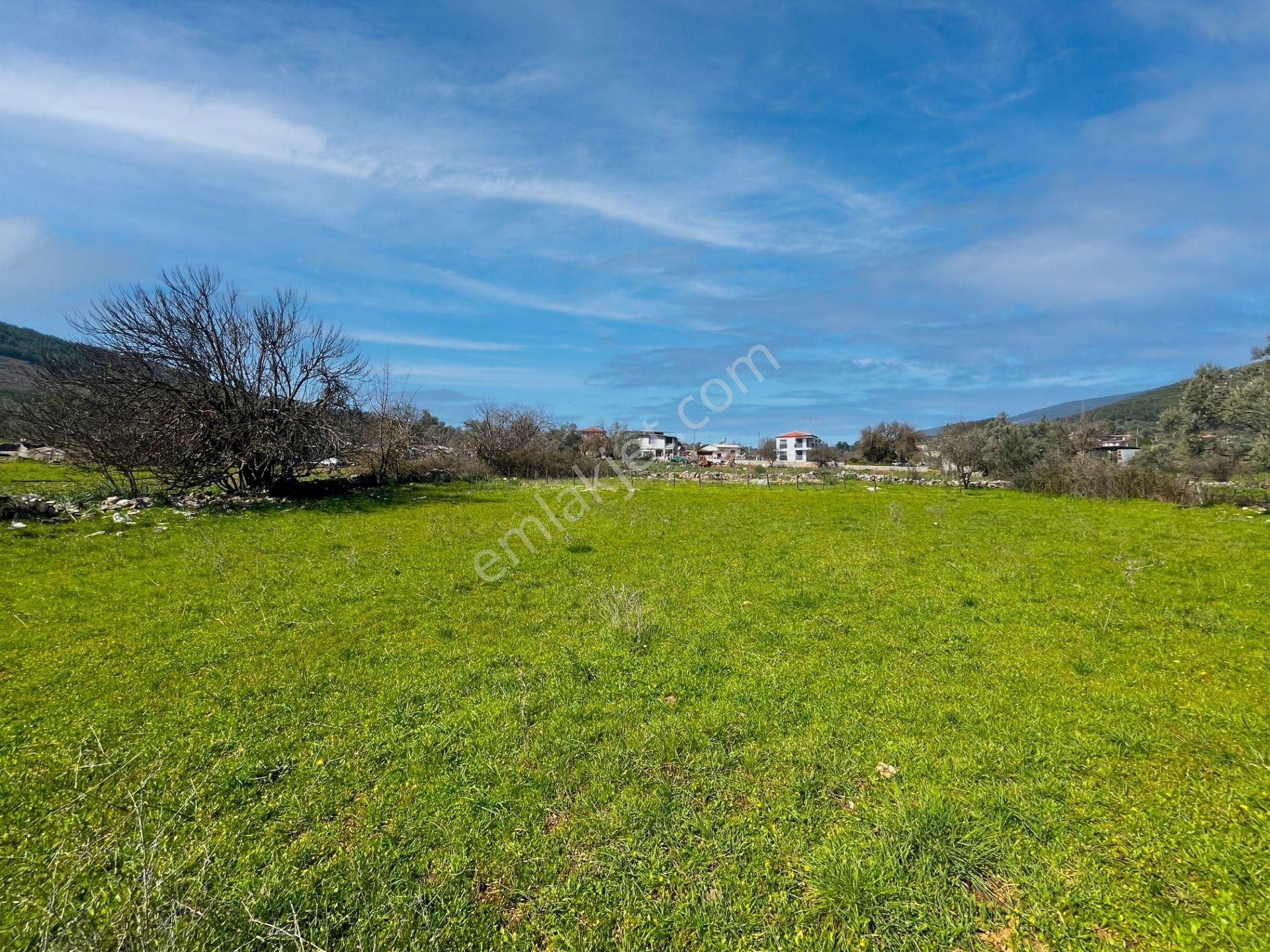 Milas Kızılağaç'ta Satılık 1132 M² Konut İmarlı Arsa - Görsel 13