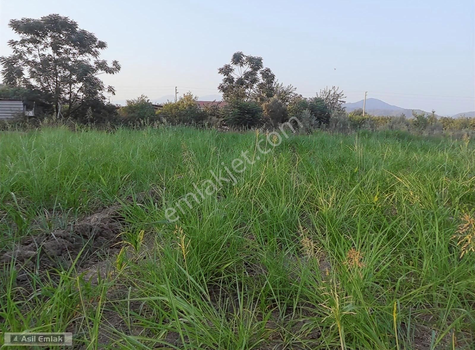 Asil Emlaktan Ortaca Yeşilyurt Köyünde Satılık 2000m² Arsa - Görsel 10