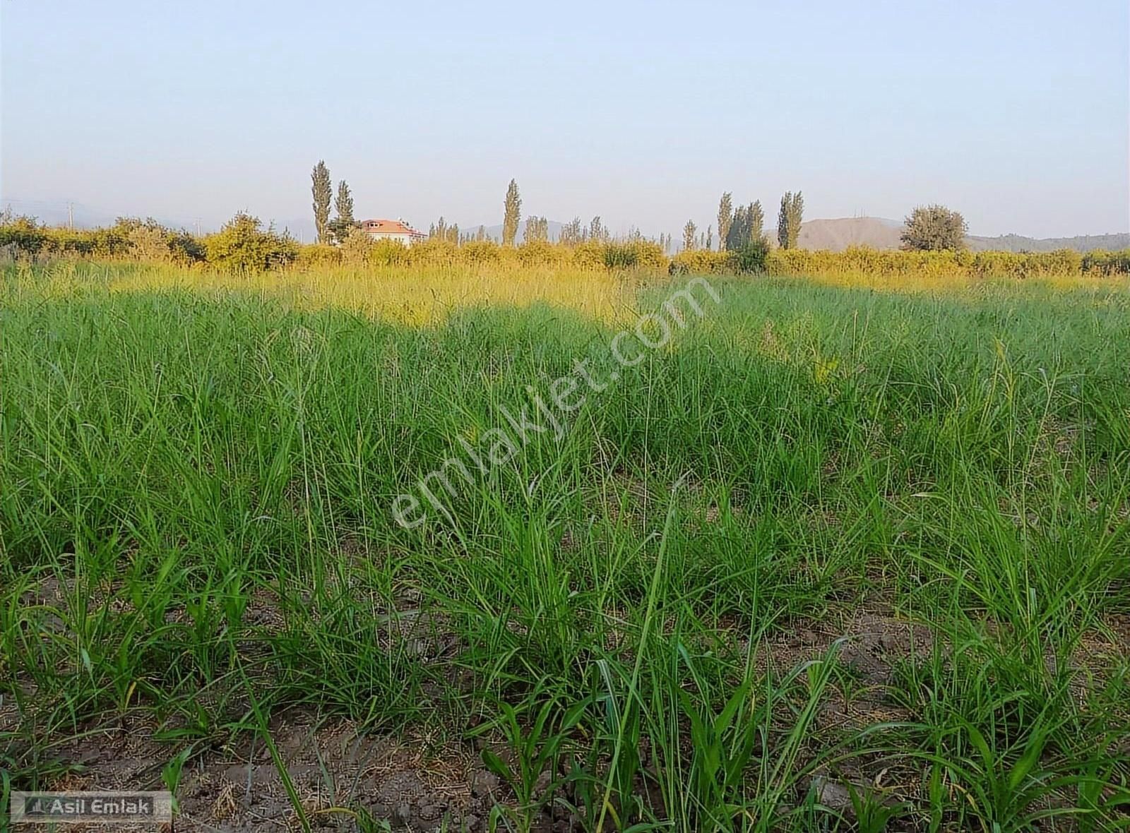 Asil Emlaktan Ortaca Yeşilyurt Köyünde Satılık 2000m² Arsa - Görsel 11