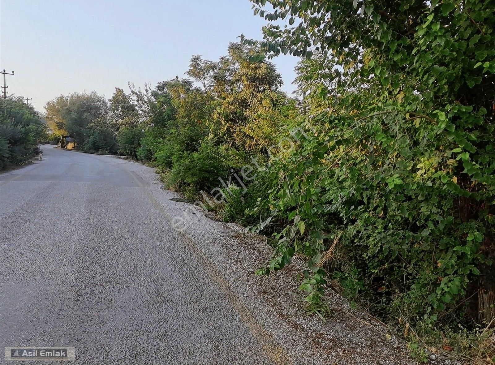 Asil Emlaktan Ortaca Yeşilyurt Köyünde Satılık 2000m² Arsa - Görsel 3