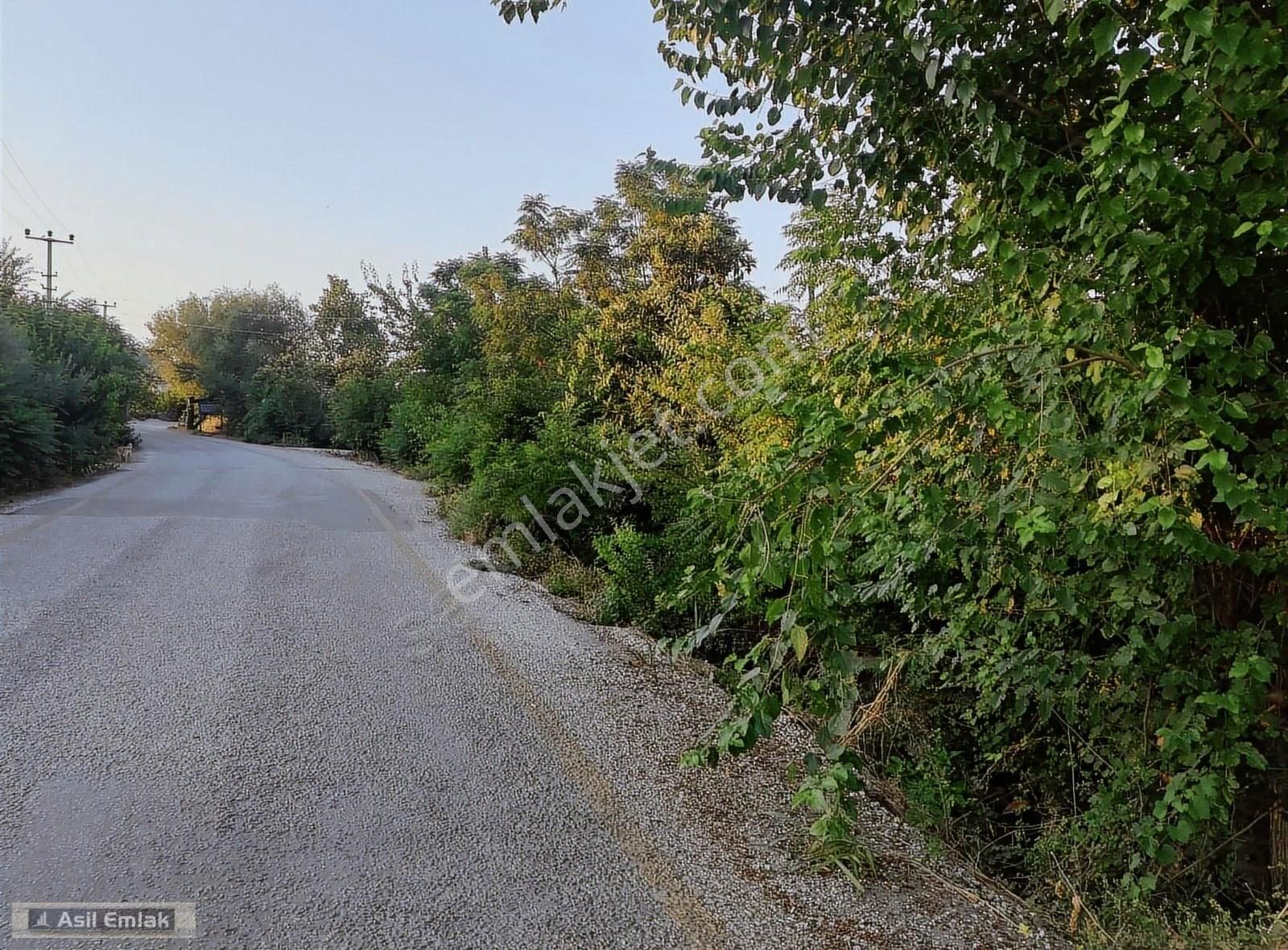 Asil Emlaktan Ortaca Yeşilyurt Köyünde Satılık 2000m² Arsa - Görsel 13