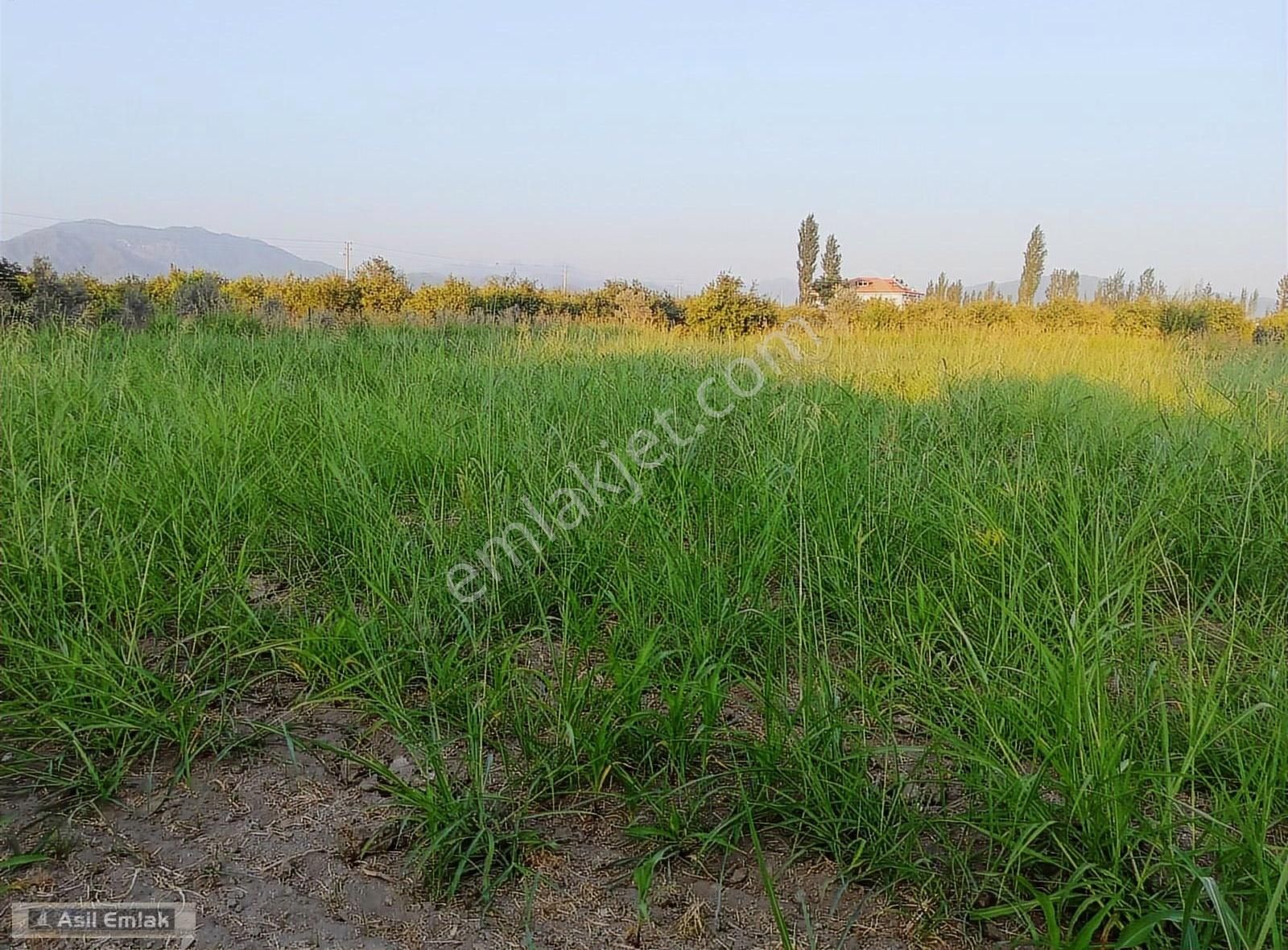 Asil Emlaktan Ortaca Yeşilyurt Köyünde Satılık 2000m² Arsa - Görsel 8