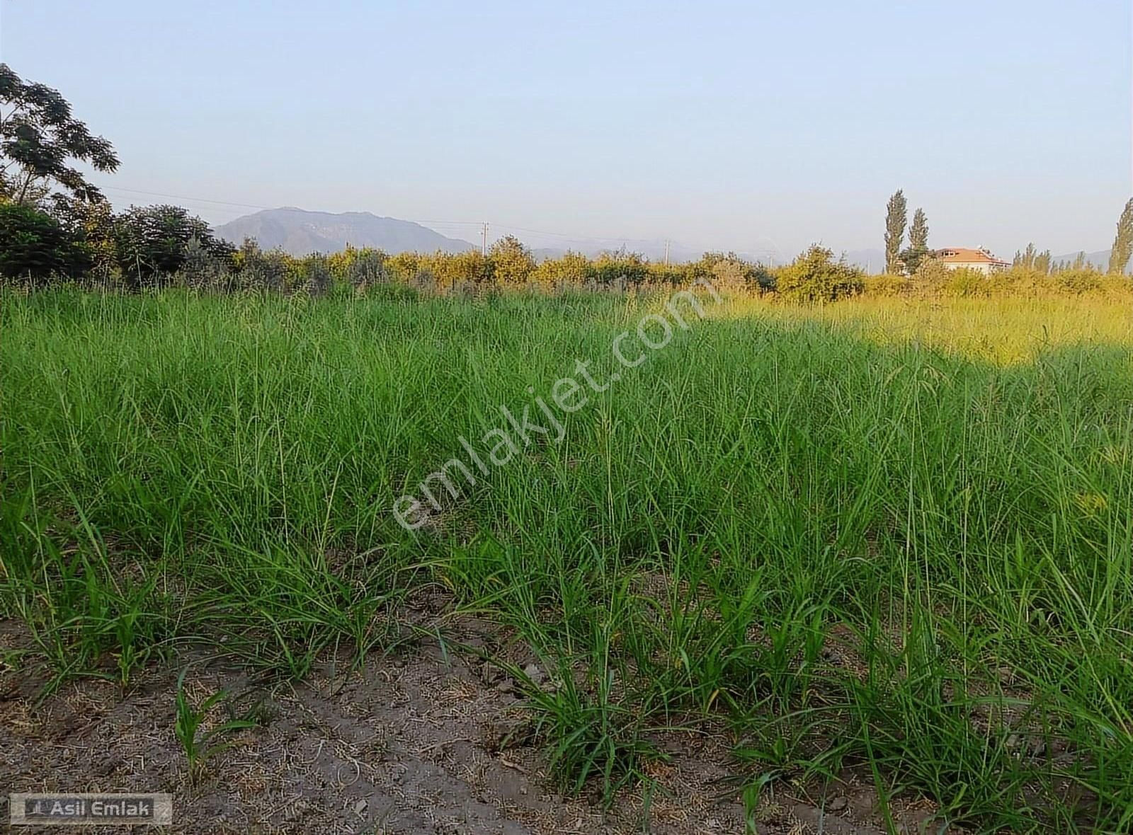 Asil Emlaktan Ortaca Yeşilyurt Köyünde Satılık 2000m² Arsa - Görsel 15