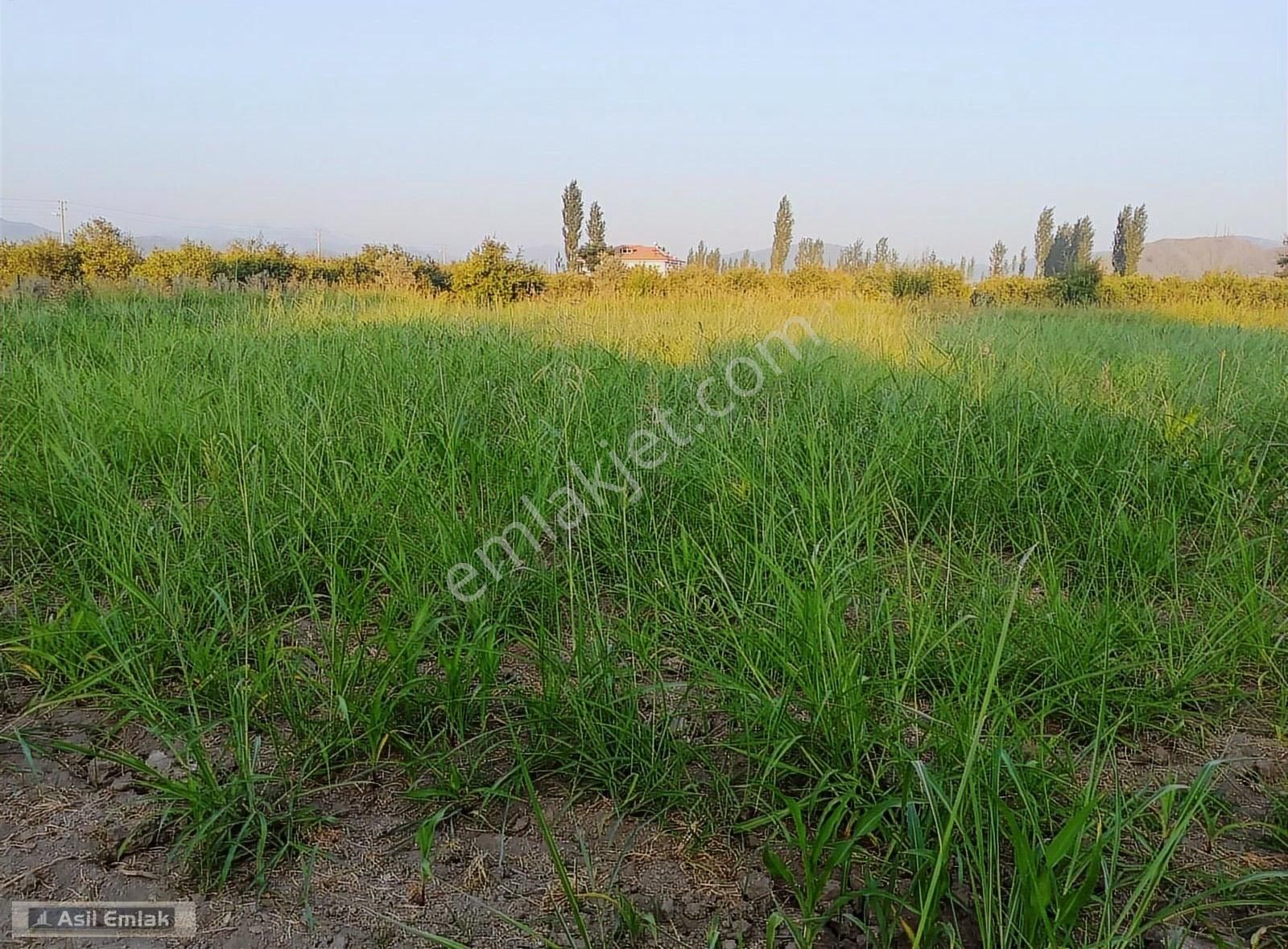 Asil Emlaktan Ortaca Yeşilyurt Köyünde Satılık 2000m² Arsa - Görsel 4