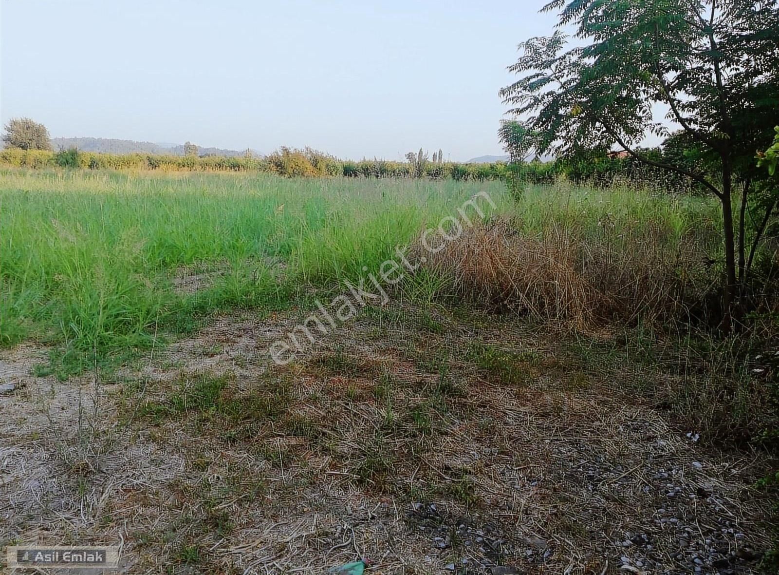 Asil Emlaktan Ortaca Yeşilyurt Köyünde Satılık 2000m² Arsa - Görsel 2