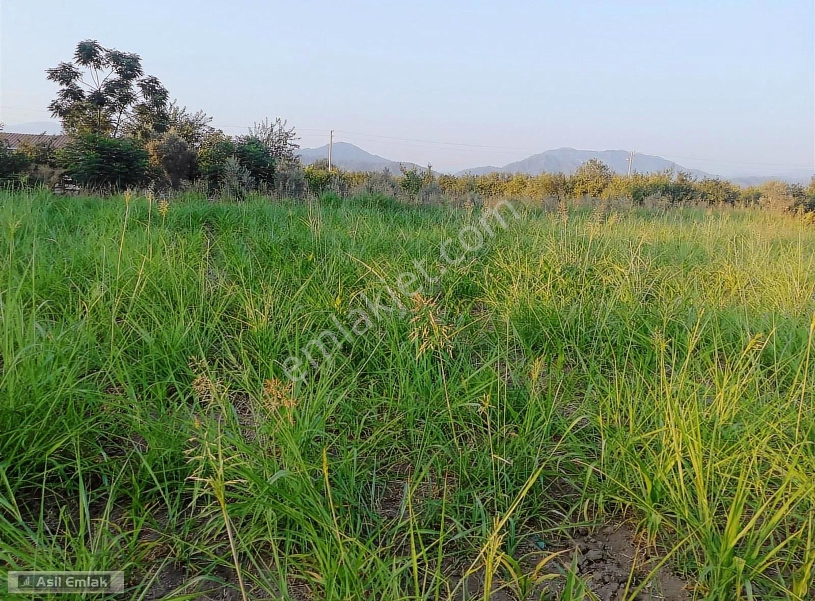 Asil Emlaktan Ortaca Yeşilyurt Köyünde Satılık 2000m² Arsa - Görsel 9