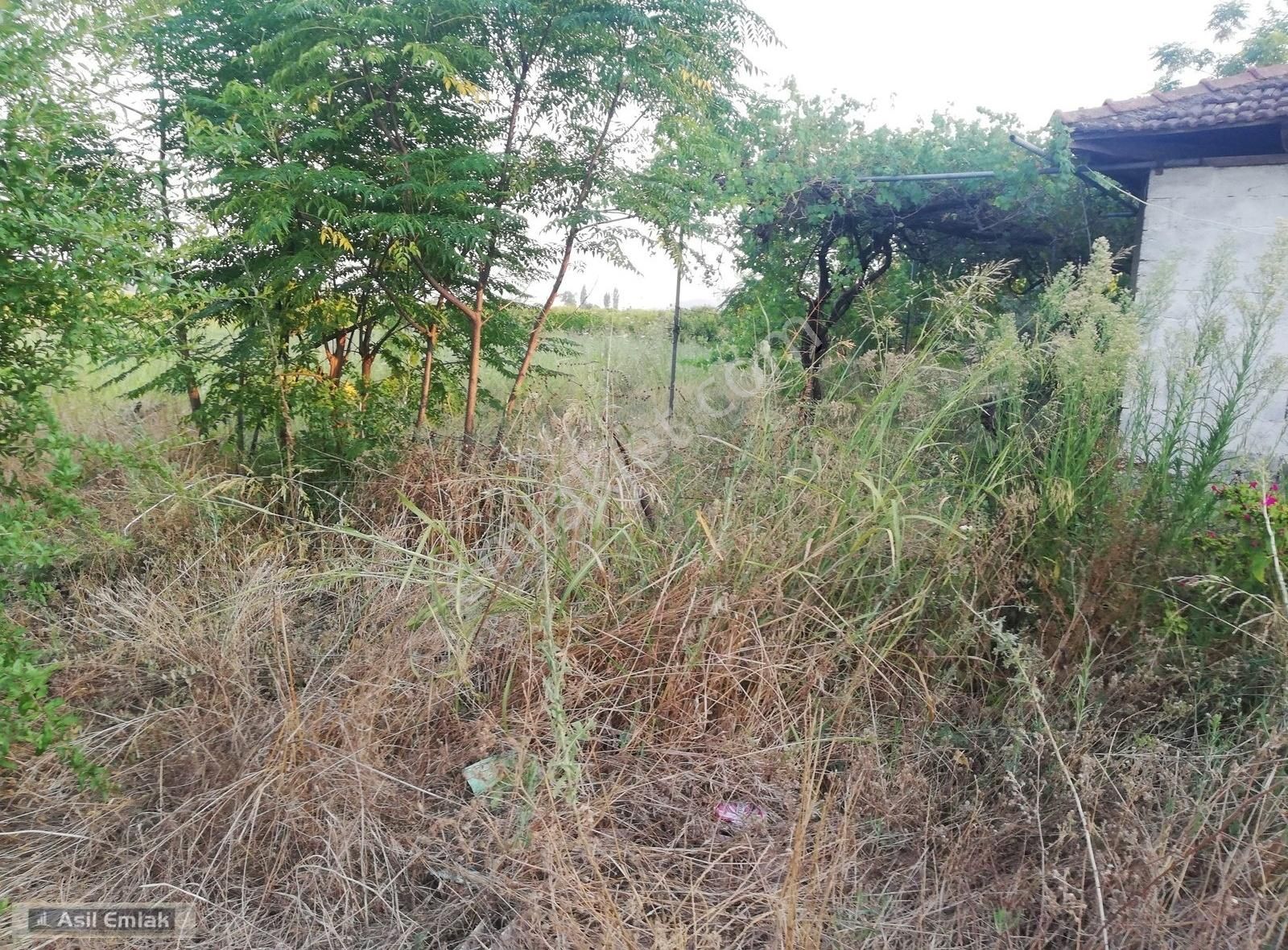 Asil Emlaktan Ortaca Yeşilyurt Köyünde Satılık 2000m² Arsa - Görsel 6