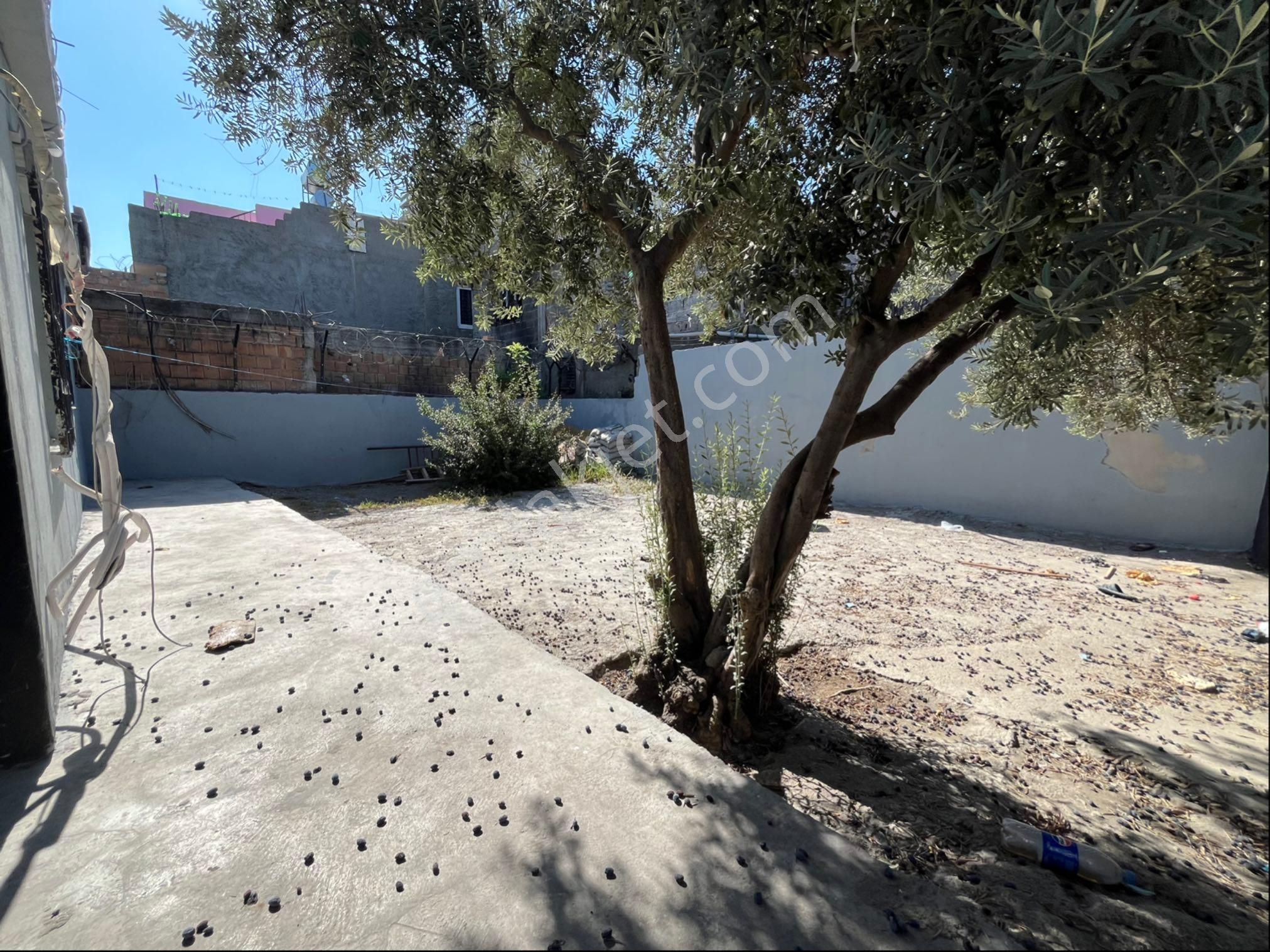 19 Mayıs Mahallesi Spor Kompleksi Civarı Satılık Bahçeli Ev - Görsel 7