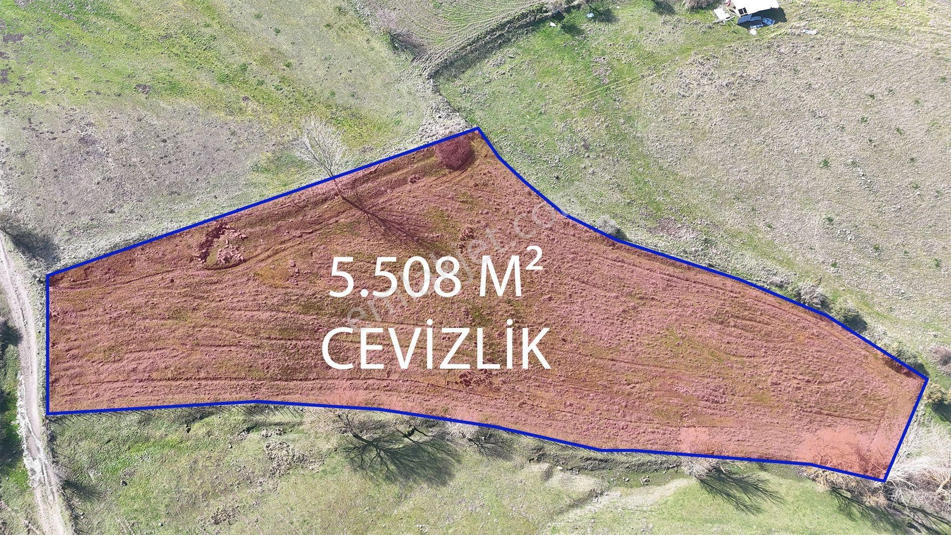 Karesi Turplu Satılık Bağ & Bahçe Re/max İnci'den Karesı Turplu Mah 5.508m2 Satılık Cevizlik