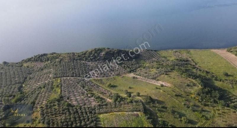 Bandırma Misakça Satılık Bağ & Bahçe Bandırma Musakça Mahallesinde Denize Sıfır Satılık Arazi