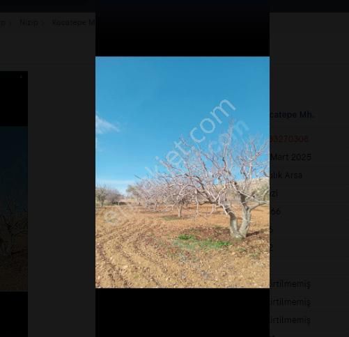 Nizip Kocatepe Satılık Bağ & Bahçe Kocatepe - Nizip ' De Satılık Fıstıklık.yola, Otobana Ve Köye Yakın.