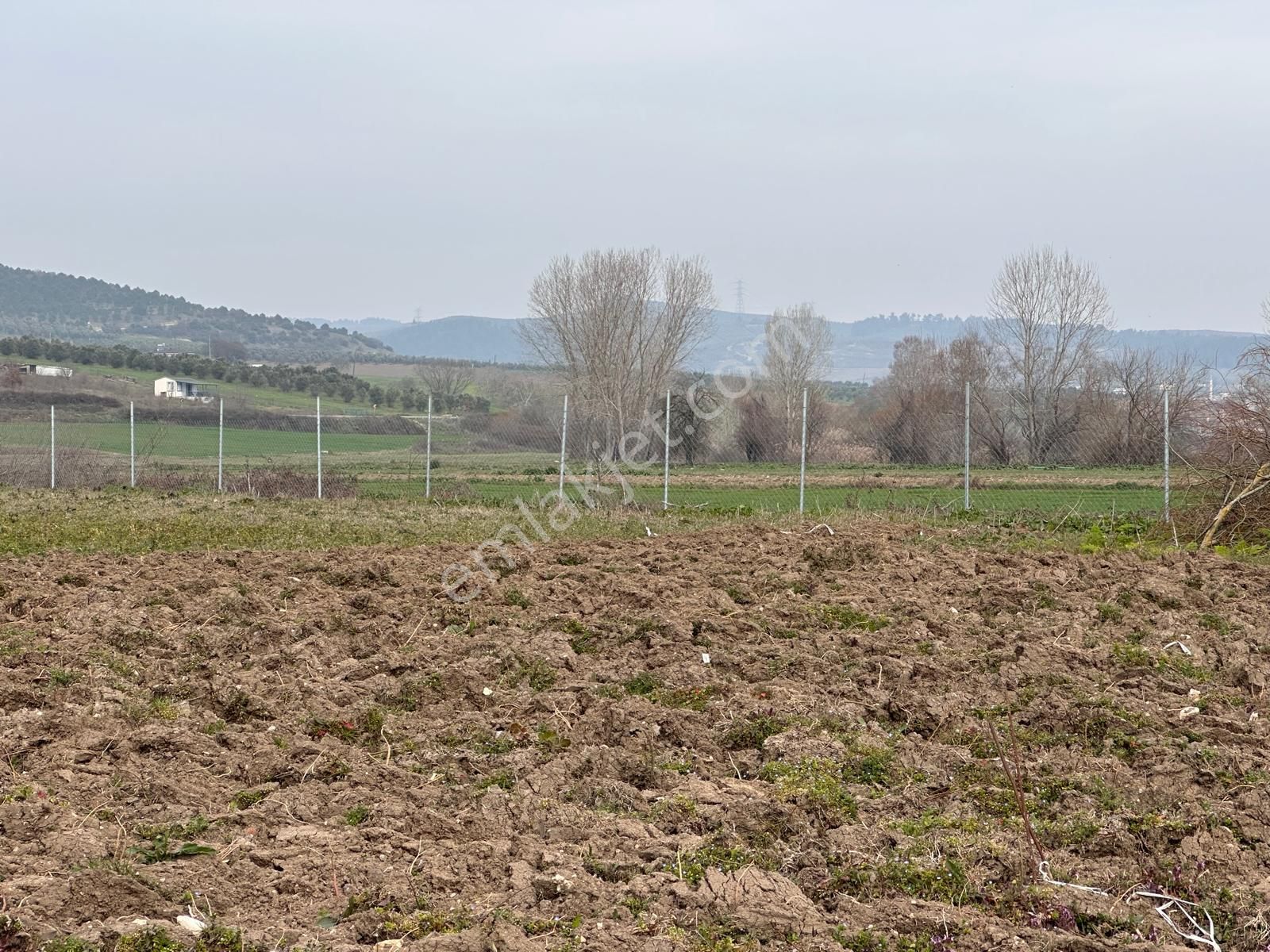 Bursa Mudanya Satılık Arazi Mudanya Hançerli'de Satılık Hobi Bahçesi