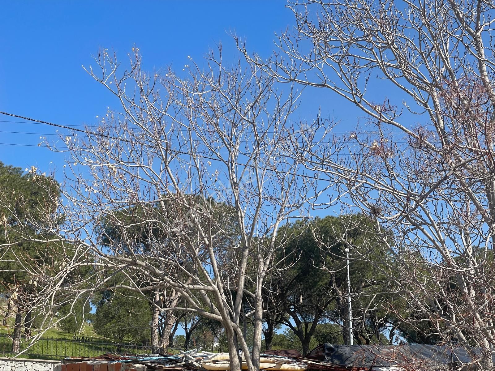 Ayvalık Fethiye Satılık Müstakil Ev Ayvada'dan Ayvalık Merkez'de 2 Katlı Müstakil Kağir Evi