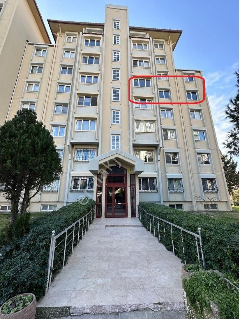 Büyükçekmece Sinanoba Kiralık Daire Sahibinden Sinanoba Emlak Bankası Son Etapta 3+1 148 M2