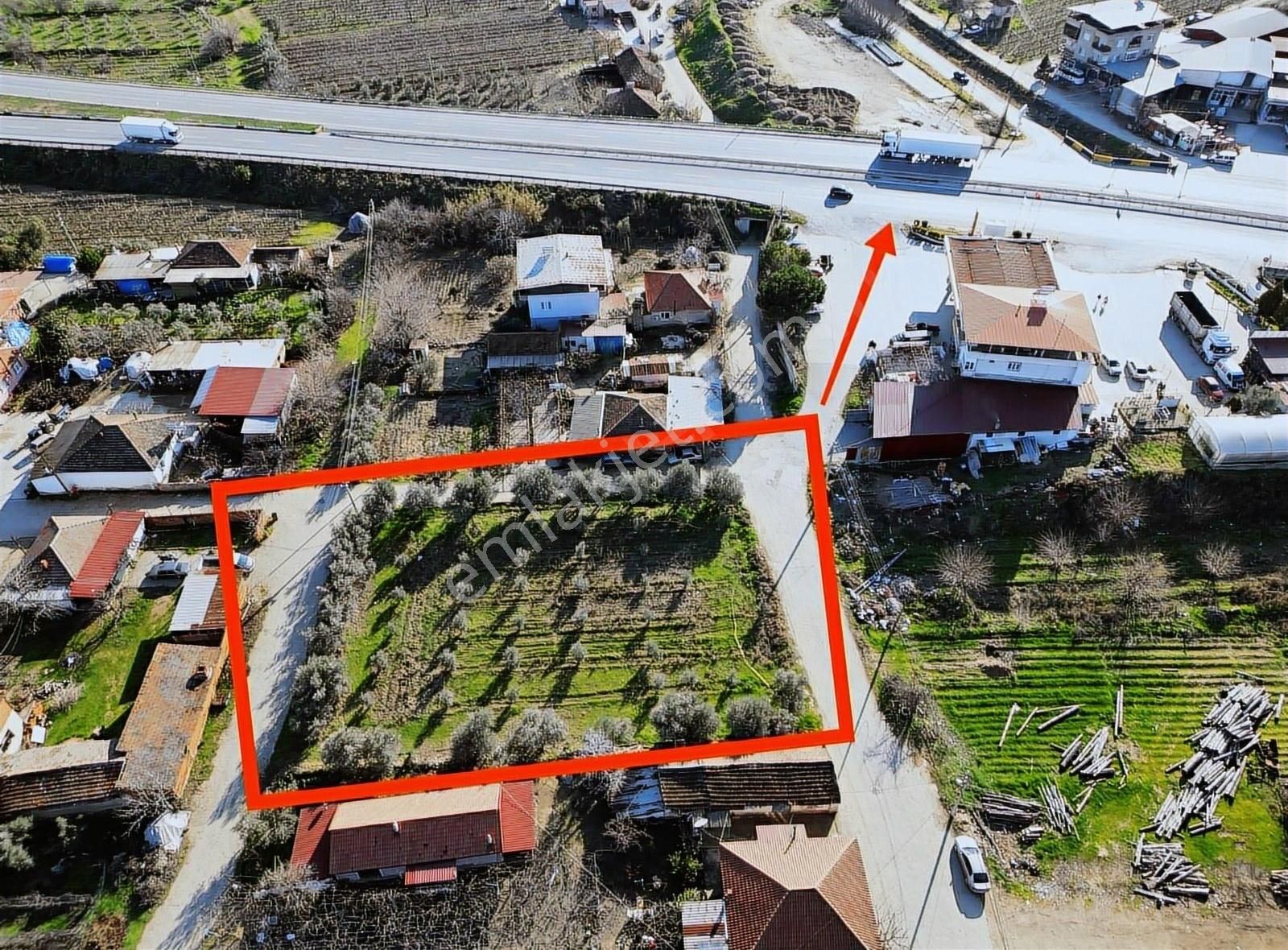 Alaşehir Delemenler Satılık Bağ & Bahçe Denizli İzmir Anayolu Kenarında Satılık Zeytin Bahçesi