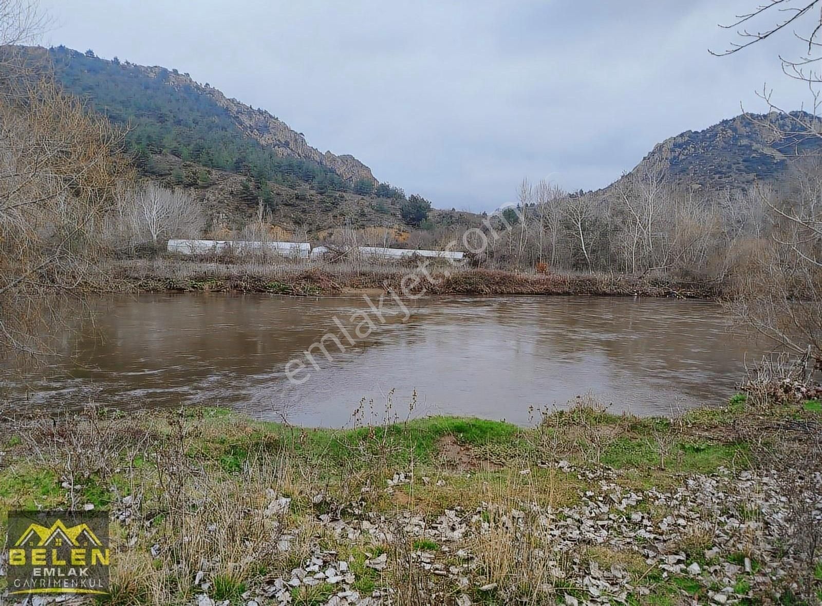 Söğüt Akçasu Köyü Satılık Bağ & Bahçe Sakarya Nehri'ne Sıfır Arazimiz