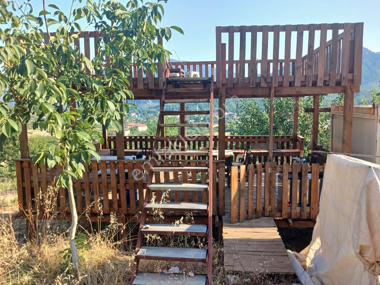 Akseki Murtici Taslıca Da Satılık 13 Dönüm Bahçe - Görsel 3