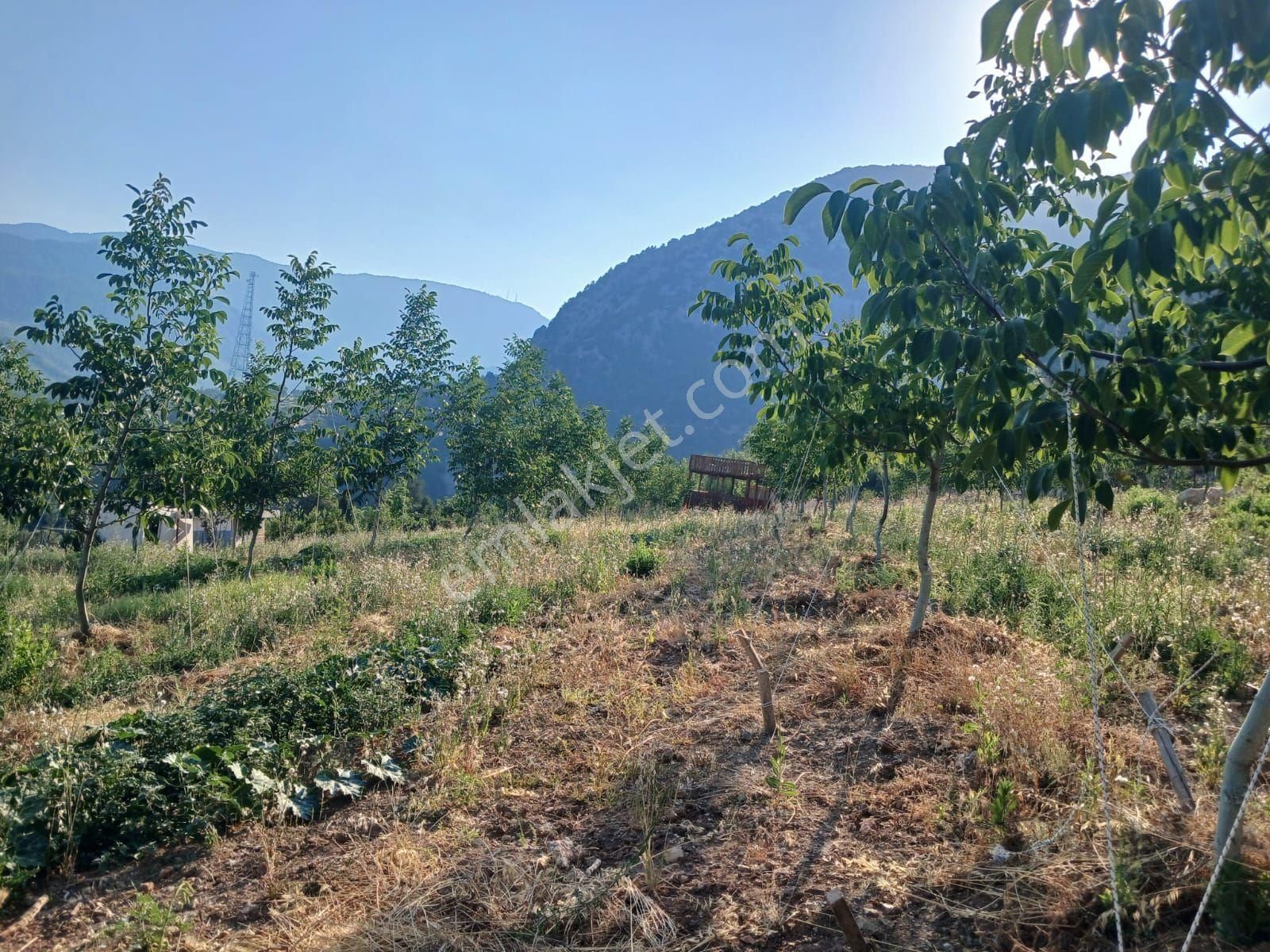 Akseki Murtici Taslıca Da Satılık 13 Dönüm Bahçe - Görsel 22