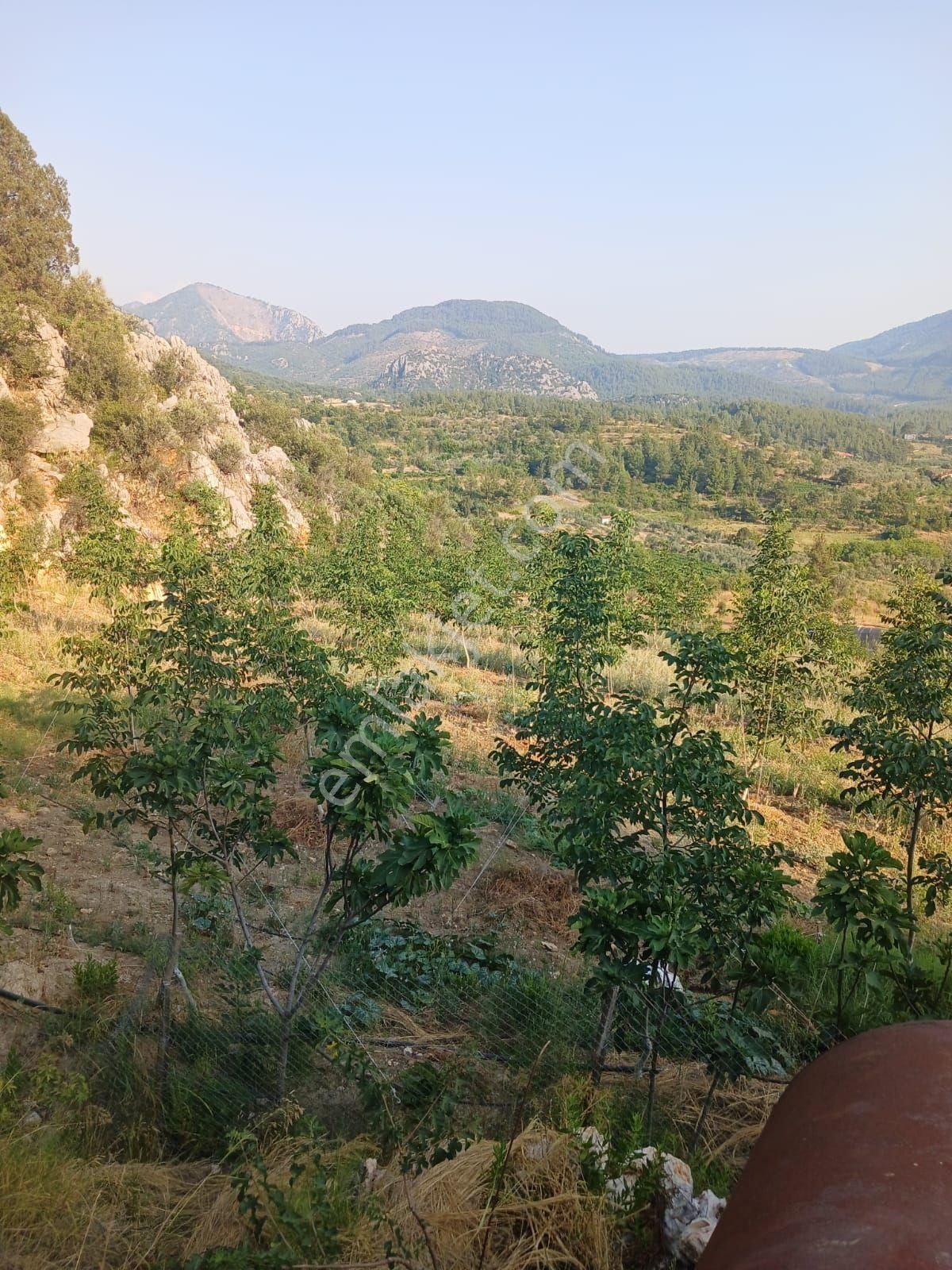 Akseki Murtici Taslıca Da Satılık 13 Dönüm Bahçe - Görsel 34