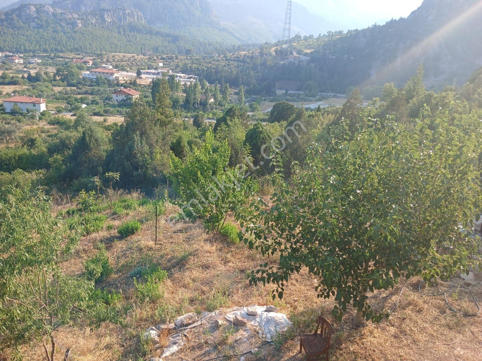 Akseki Murtici Taslıca Da Satılık 13 Dönüm Bahçe - Görsel 23