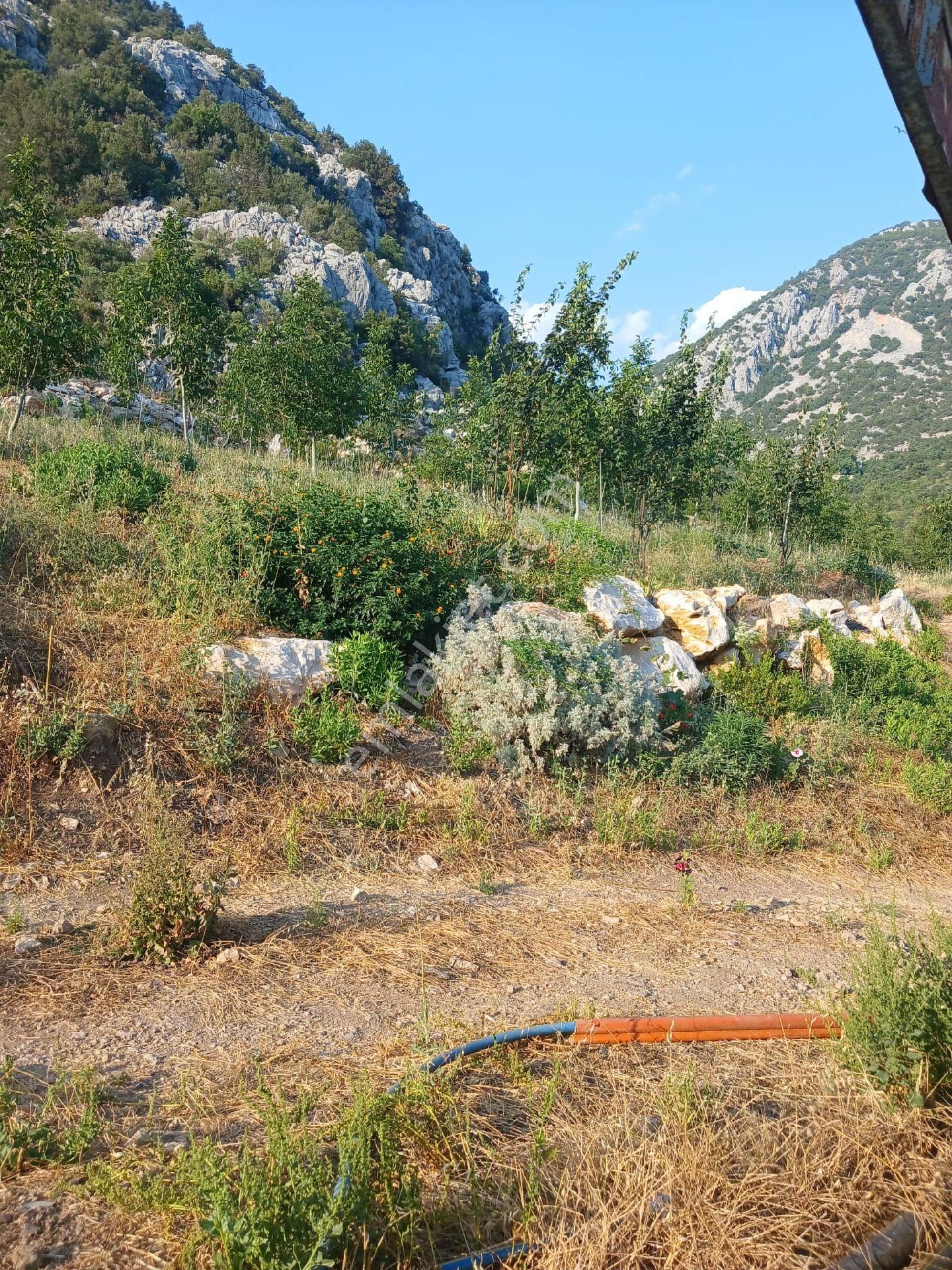 Akseki Murtici Taslıca Da Satılık 13 Dönüm Bahçe - Görsel 21