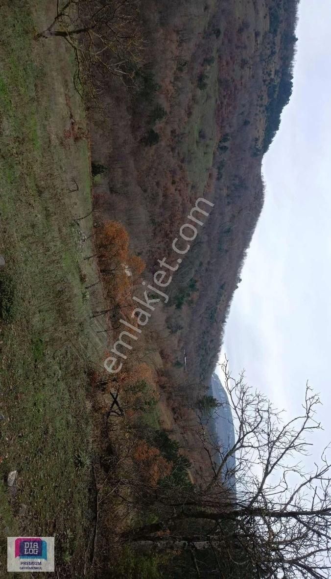 Göktepe Köyünde Fırsat Tarla - Görsel 11
