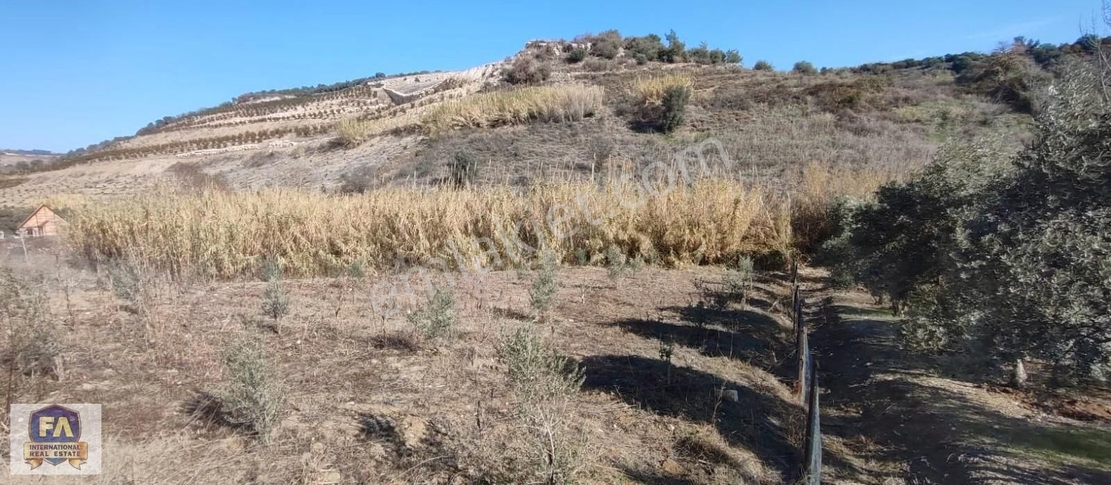 Yenişehir Çavak Satılık Bağ & Bahçe Fa Emlaktan Çavakta Yatırımlık 3000m2 Satılık Arsa