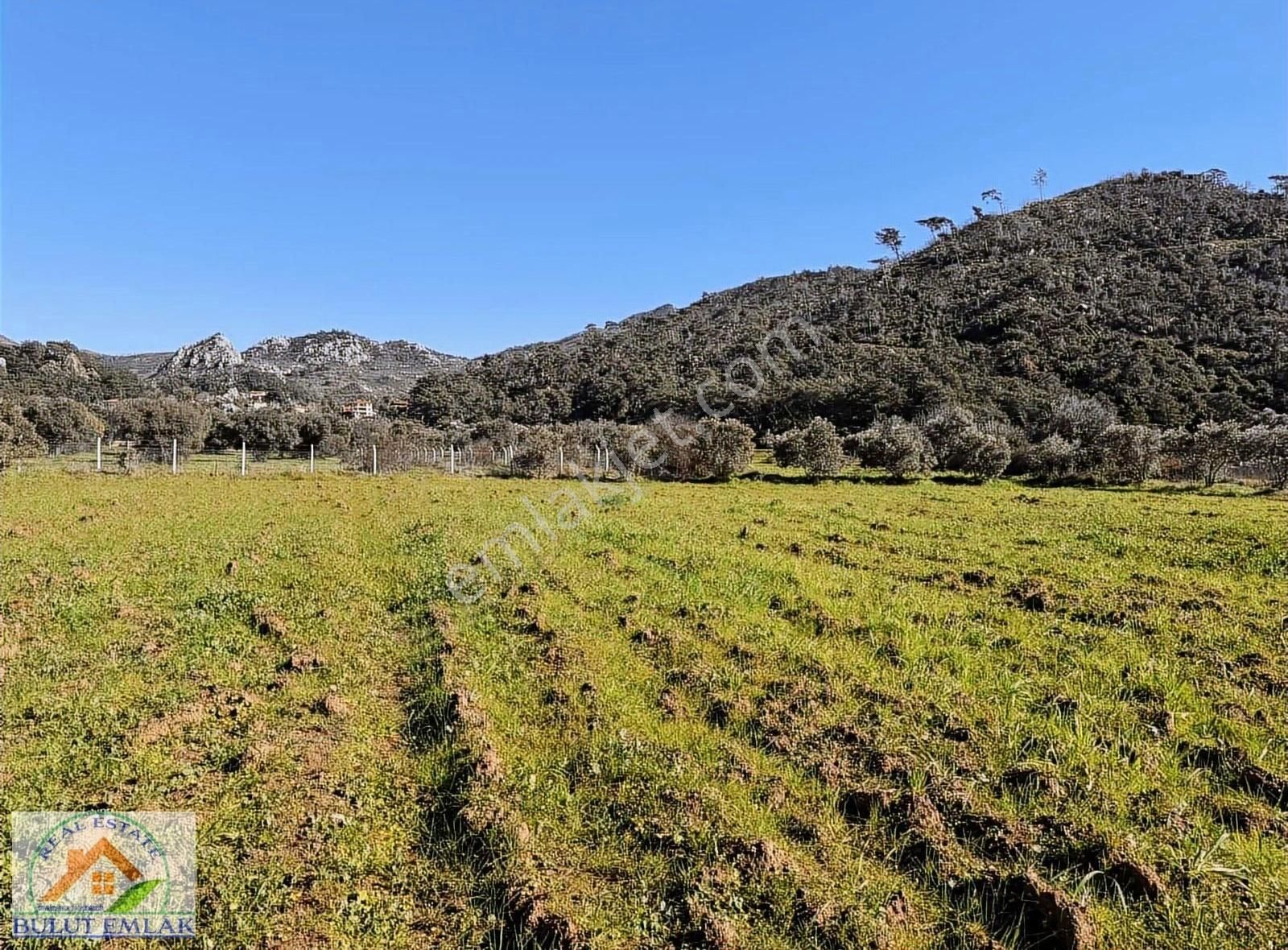 Bulut Emlak Marmaris Hisarönünde Yolu Olan 832 M2 Satılık Tarla - Görsel 3