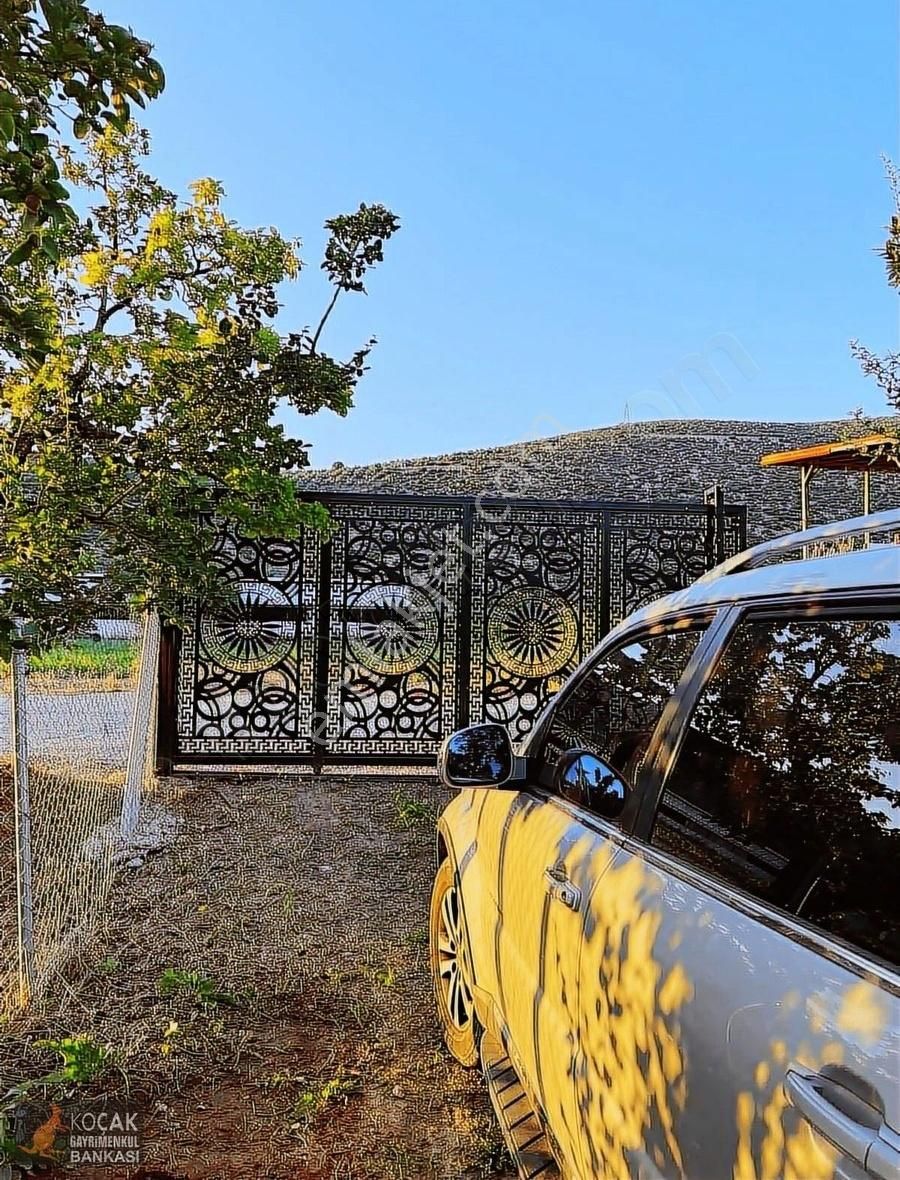 İznik Merkez Tapulu Asfalt Cepheli 3463m2 Meyve Bahçesi - Görsel 16