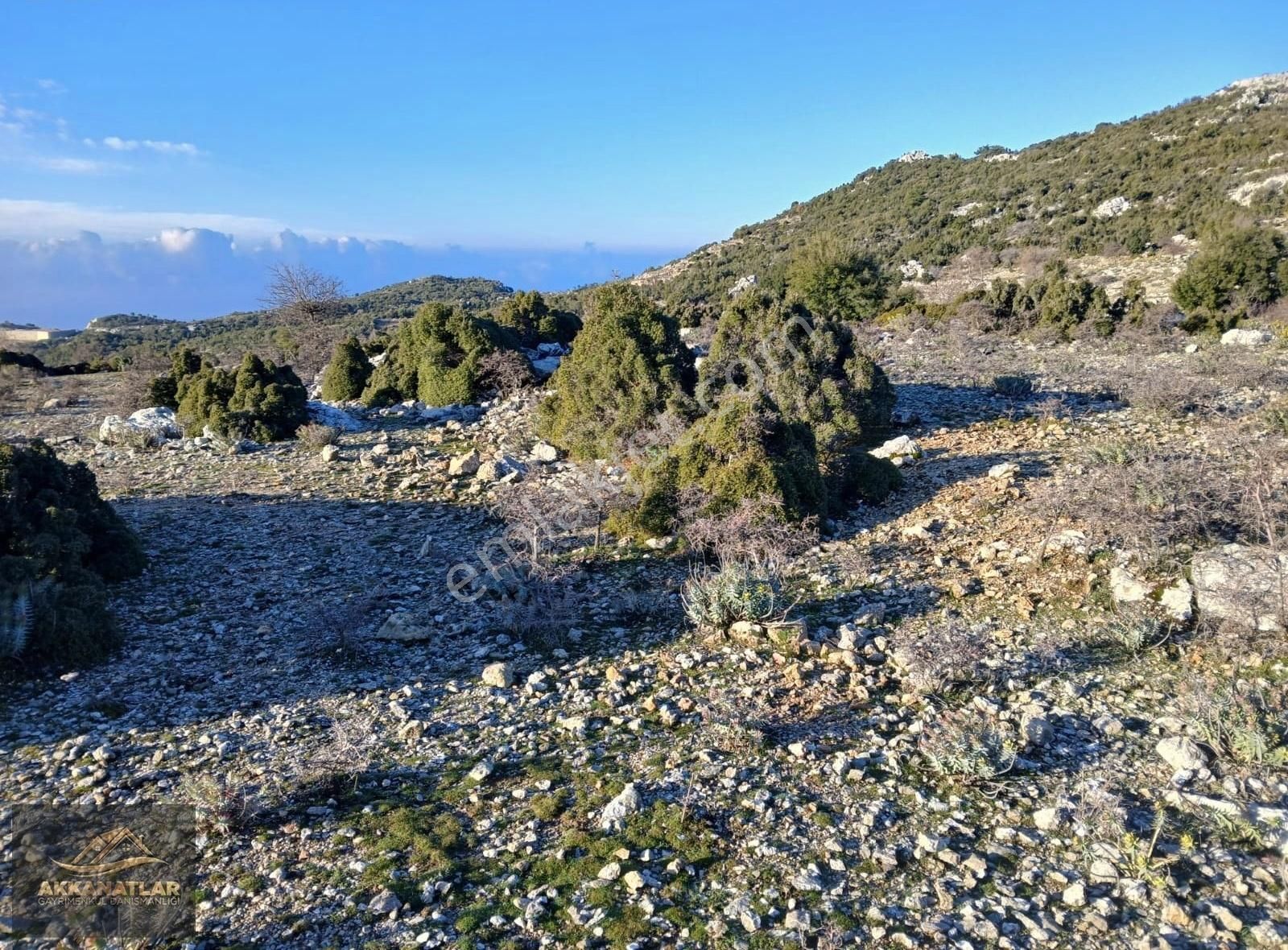 Fethiye Karaağaç Satılık Tarla Muğla Fethiye Karaağac Mahallesinde Satılık Tarla