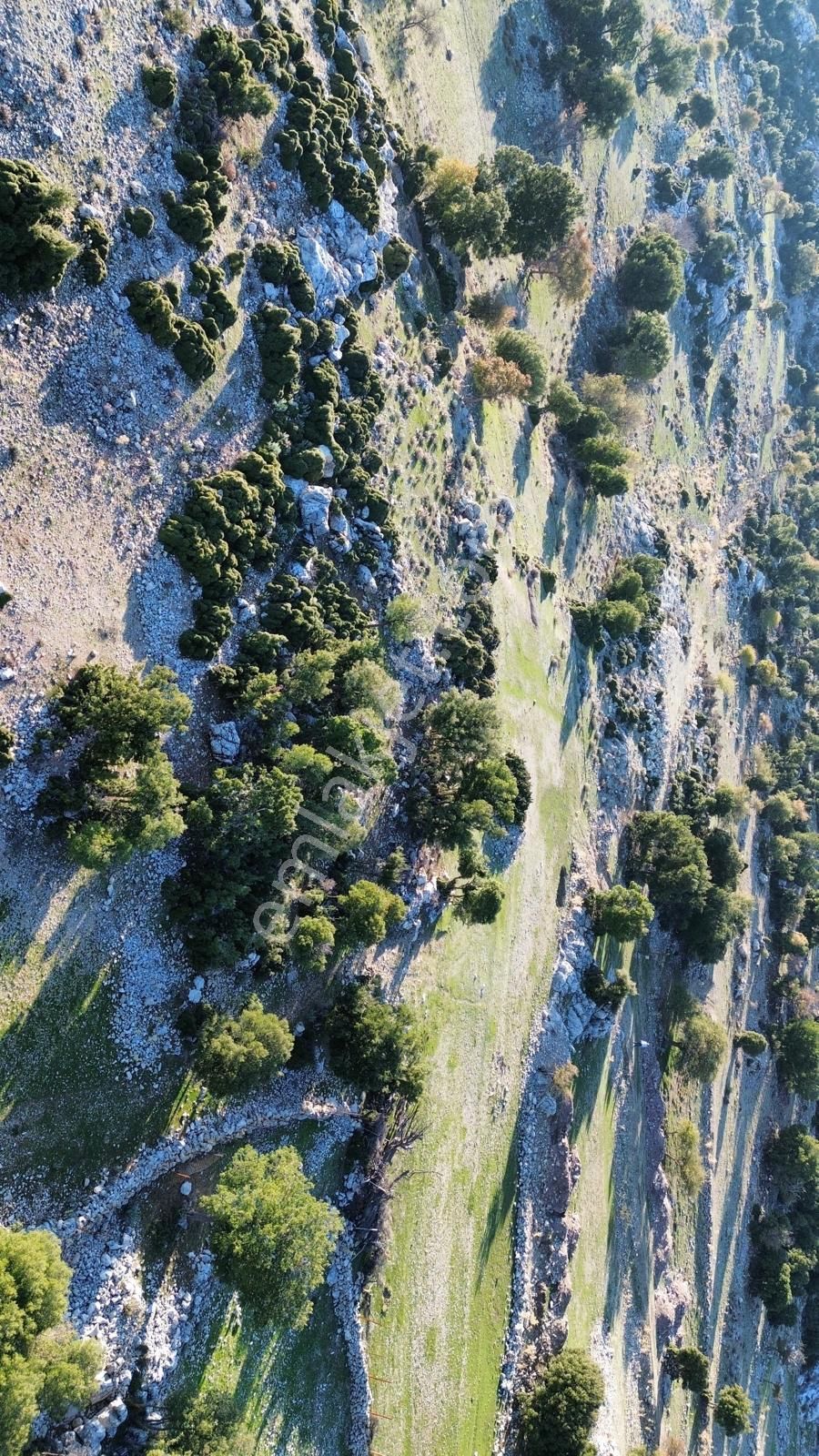 Muğla Fethiye Karaağac Mahallesinde Satılık Tarla - Görsel 6