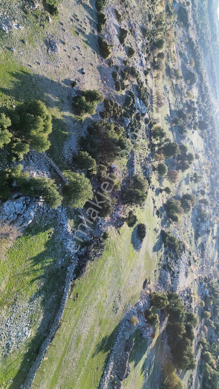 Muğla Fethiye Karaağac Mahallesinde Satılık Tarla - Görsel 11
