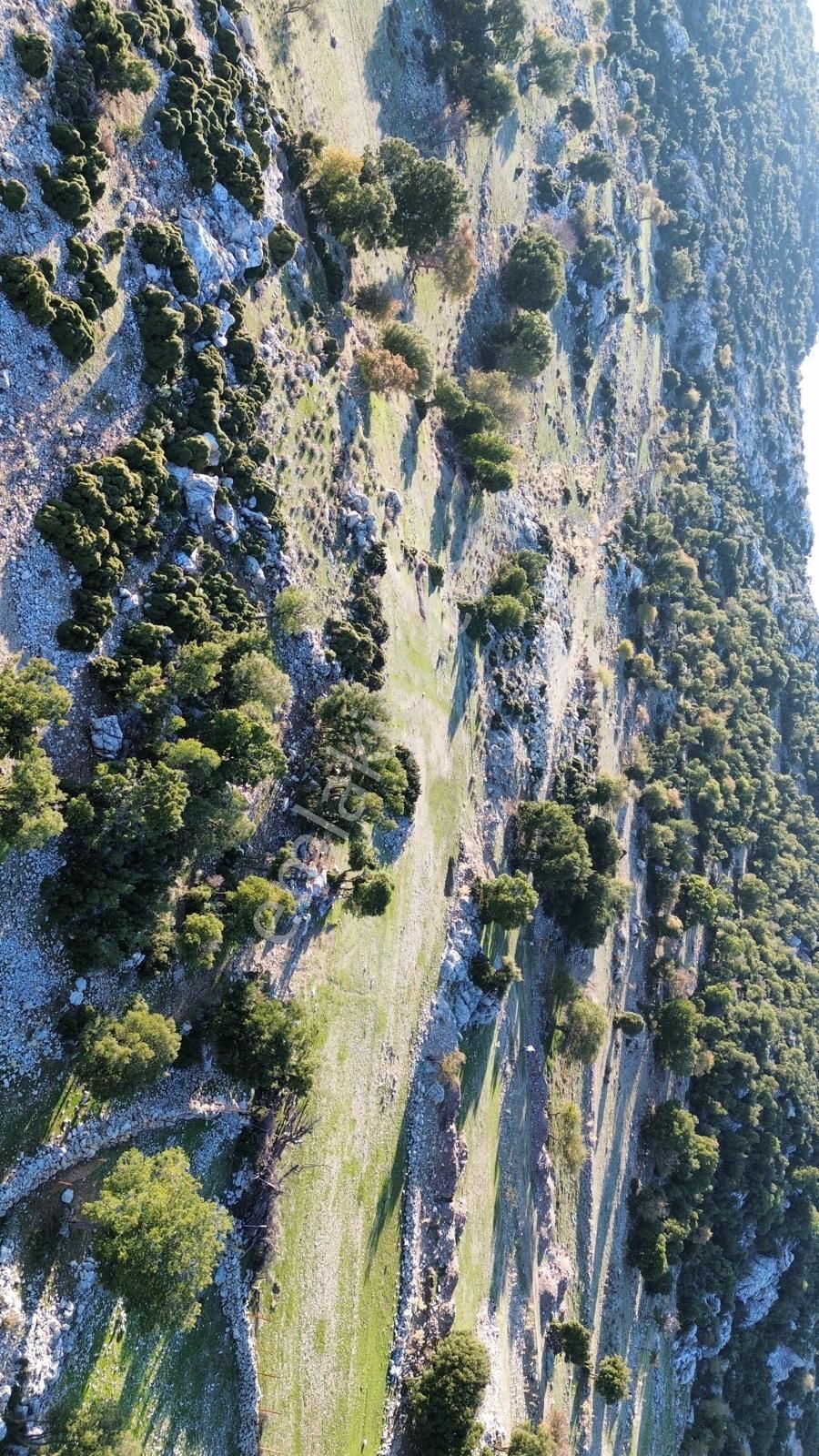 Muğla Fethiye Karaağac Mahallesinde Satılık Tarla - Görsel 8