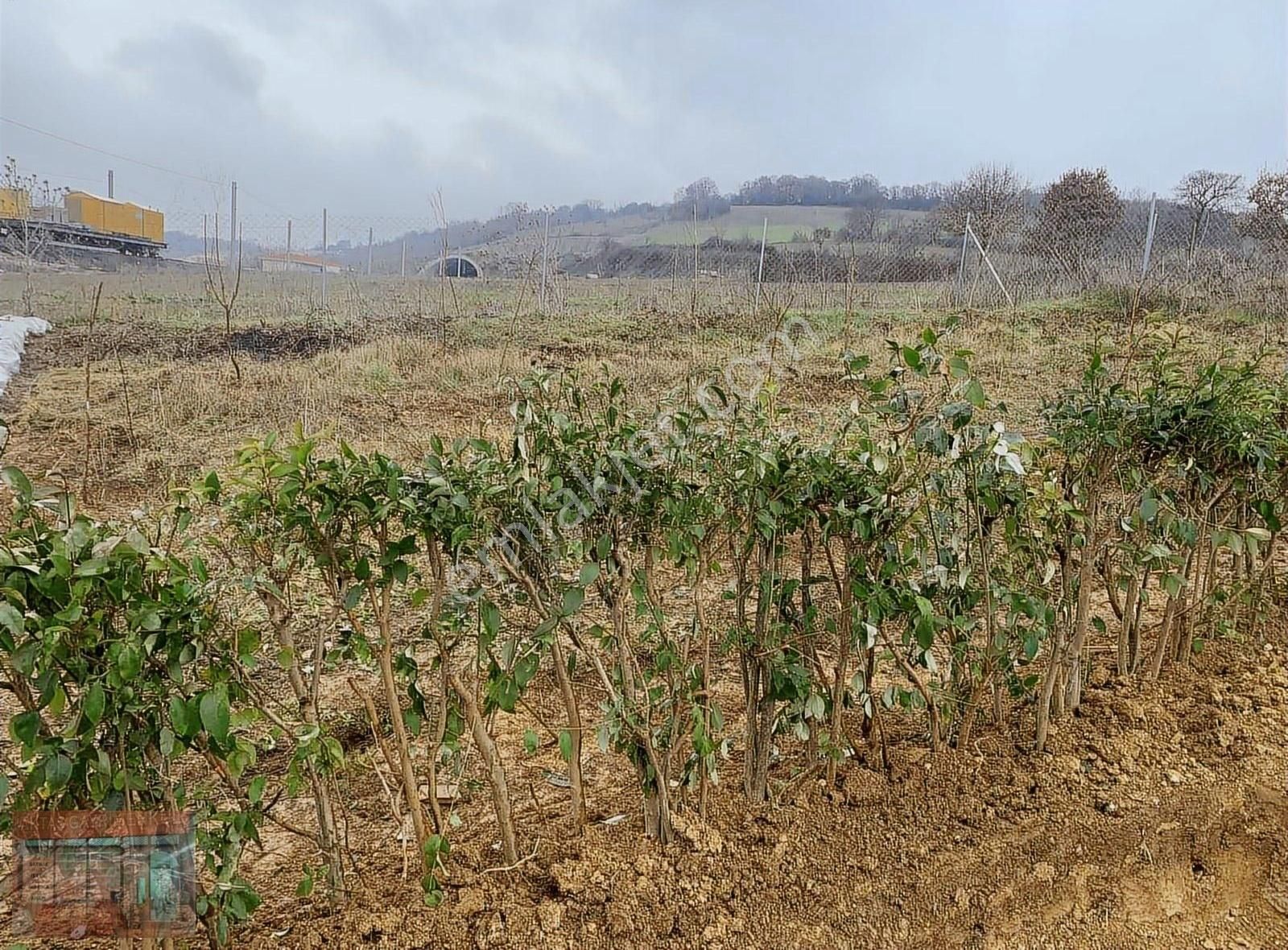 Aktaş 'tan Bursa Yenişehir Yol Üzeri Satılık Hobi Evi - Görsel 10