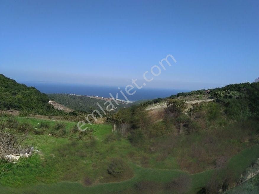 Mudanya Mesudiye Satılık Tarla Mudi Emlak'tan Bursa Mudanya Mesudiye Ayazma'da Deniz Manzaralı, Köye Yakın, Müstakil Tapu Tarla