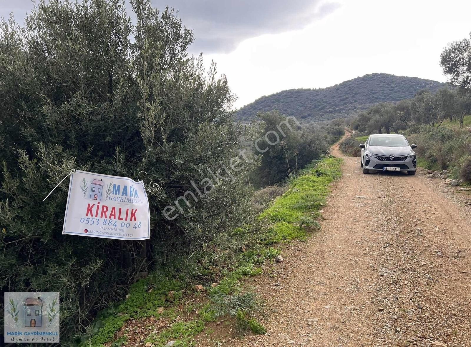 Marinden Palamutbükü Marin Mevkisinde 1.669m2 Yolu Olan Arazi - Görsel 8