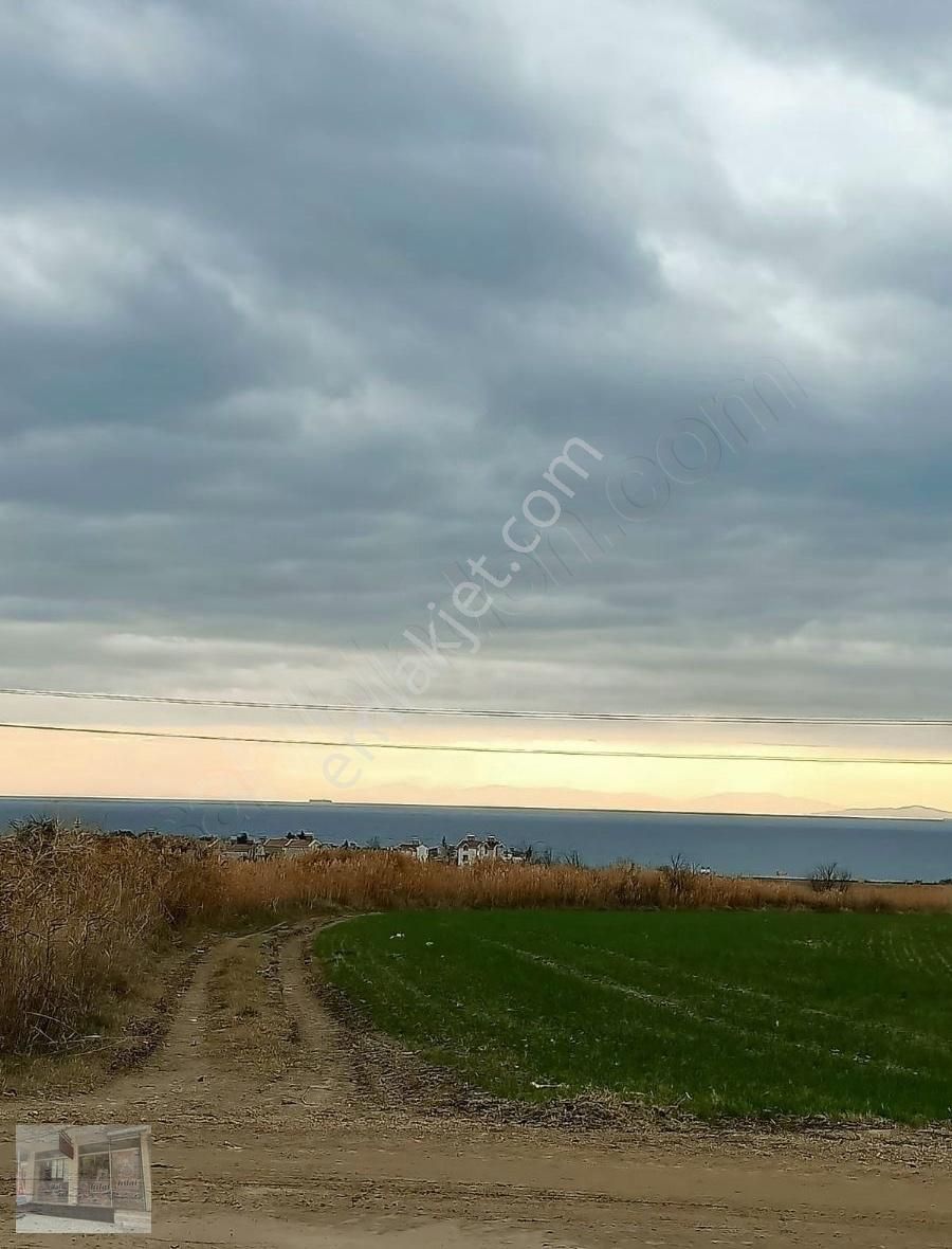 Marmaraereğlisi Çeşmeli Satılık Tarla Tekirdağ Marmara Ereğlisi İmarasınır Deniz Manzaralı Yatırımlı