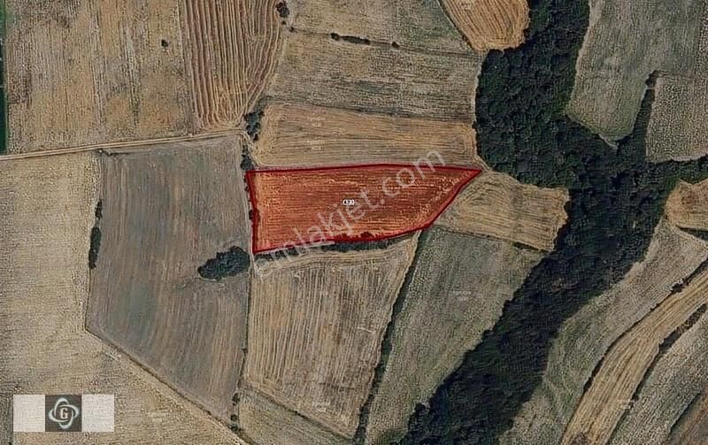 Havsa Bakışlar Köyü Satılık Tarla Havza Bakışlar Köyünde 1327m2 Yatırımlık Arsa