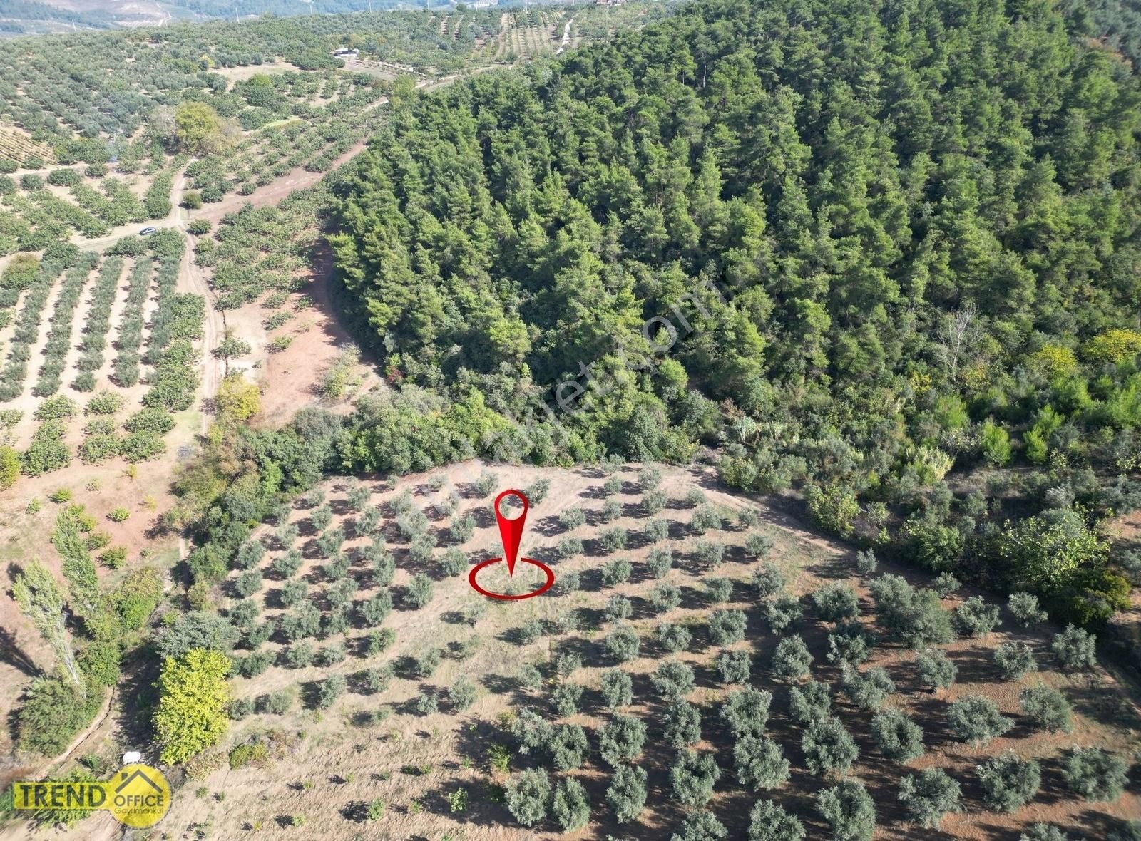 Osmangazi Karabalçık Satılık Tarla Karabalçık Köyü 3536 M2 Satılık Tarla Bölgenin En Uygun Yeri