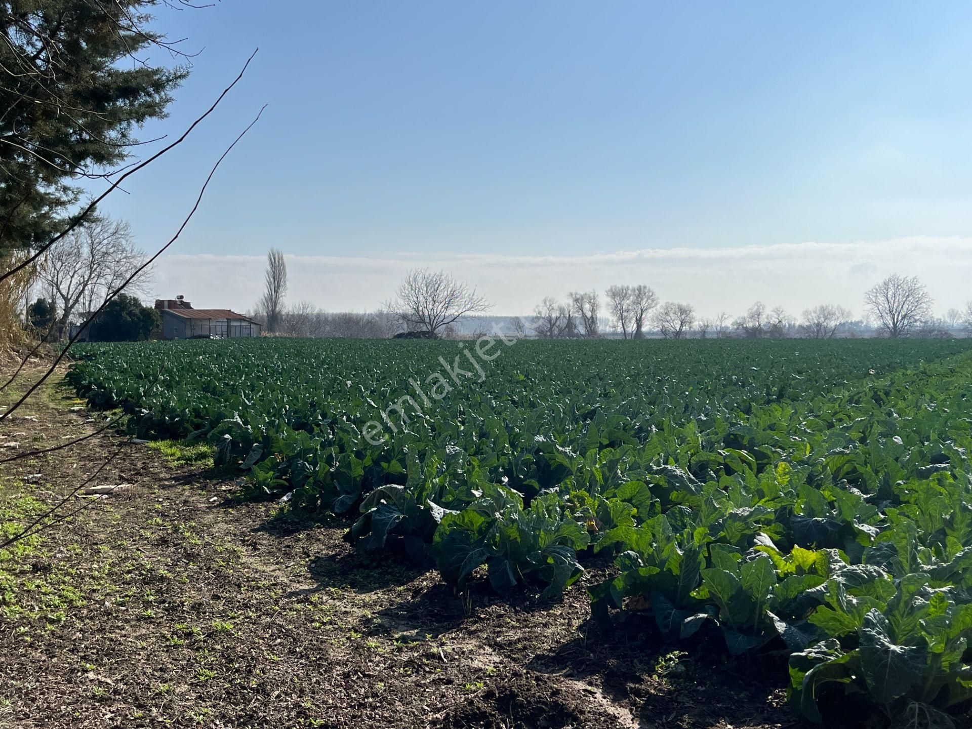 Re/max'ten Bursa-çanakkale Yoluna Cepheli 4564 M² Arazi - Görsel 7
