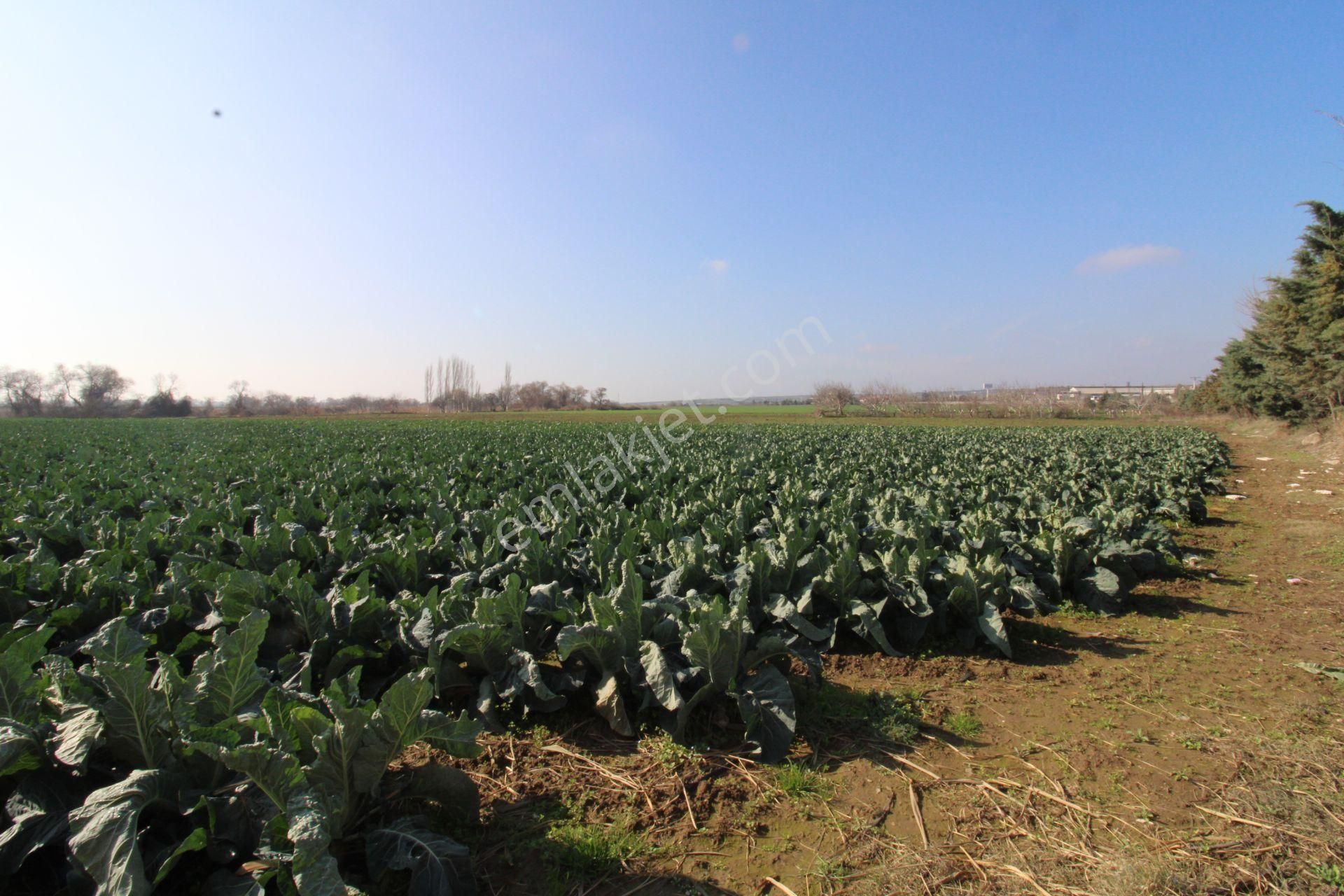 Re/max'ten Bursa-çanakkale Yoluna Cepheli 4564 M² Arazi - Görsel 25