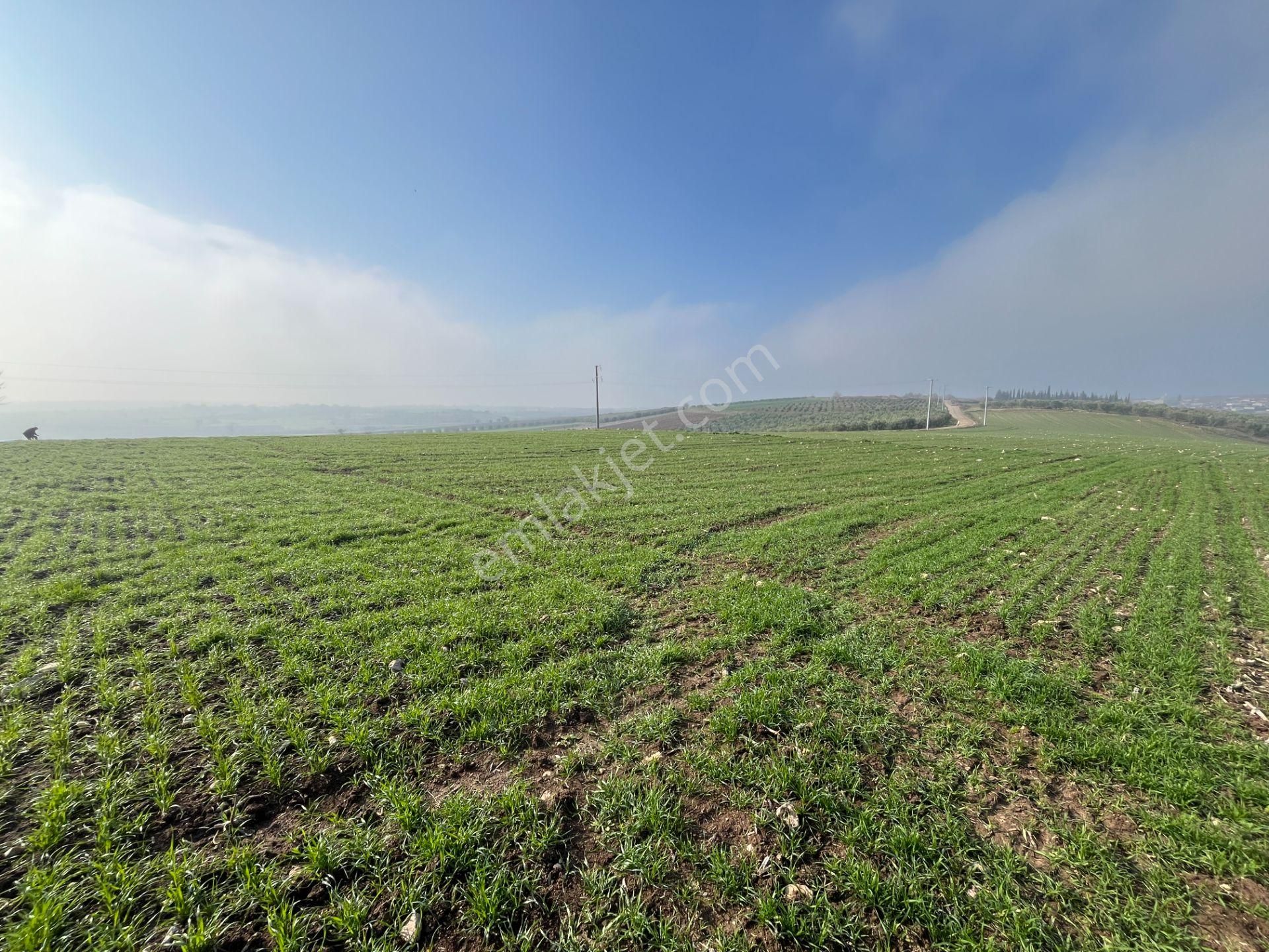 Re/max'ten Bursa Danişment'de Yola Cepheli 25.300 M² Arazi - Görsel 24