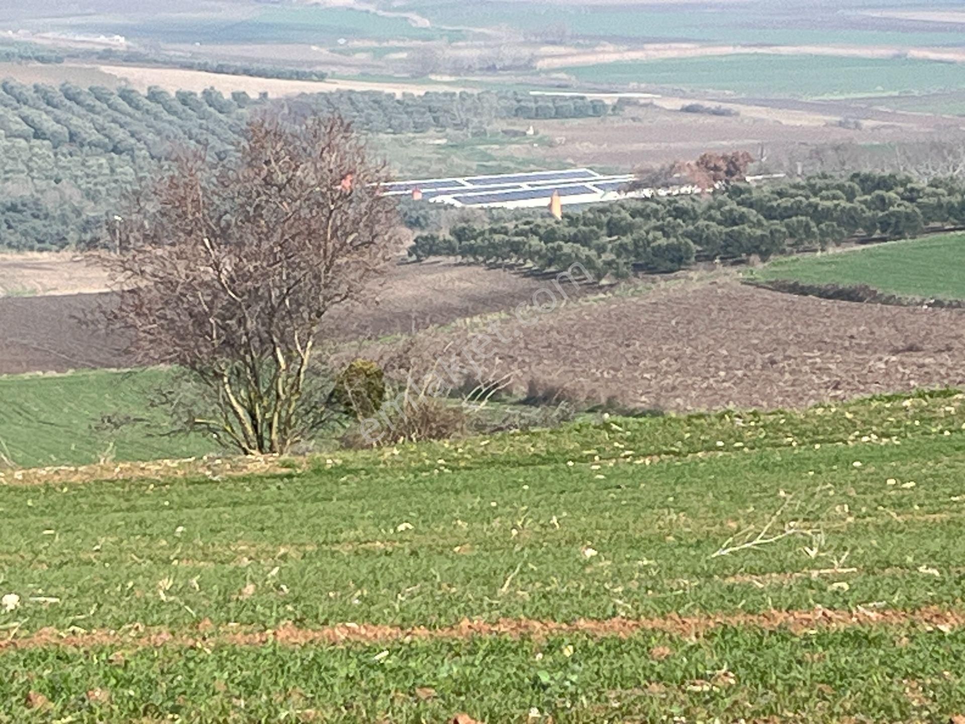 Re/max'ten Bursa Danişment'de Yola Cepheli 25.300 M² Arazi - Görsel 9