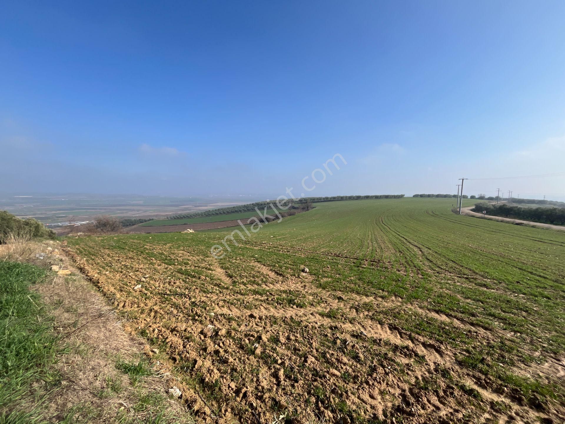 Re/max'ten Bursa Danişment'de Yola Cepheli 25.300 M² Arazi - Görsel 3