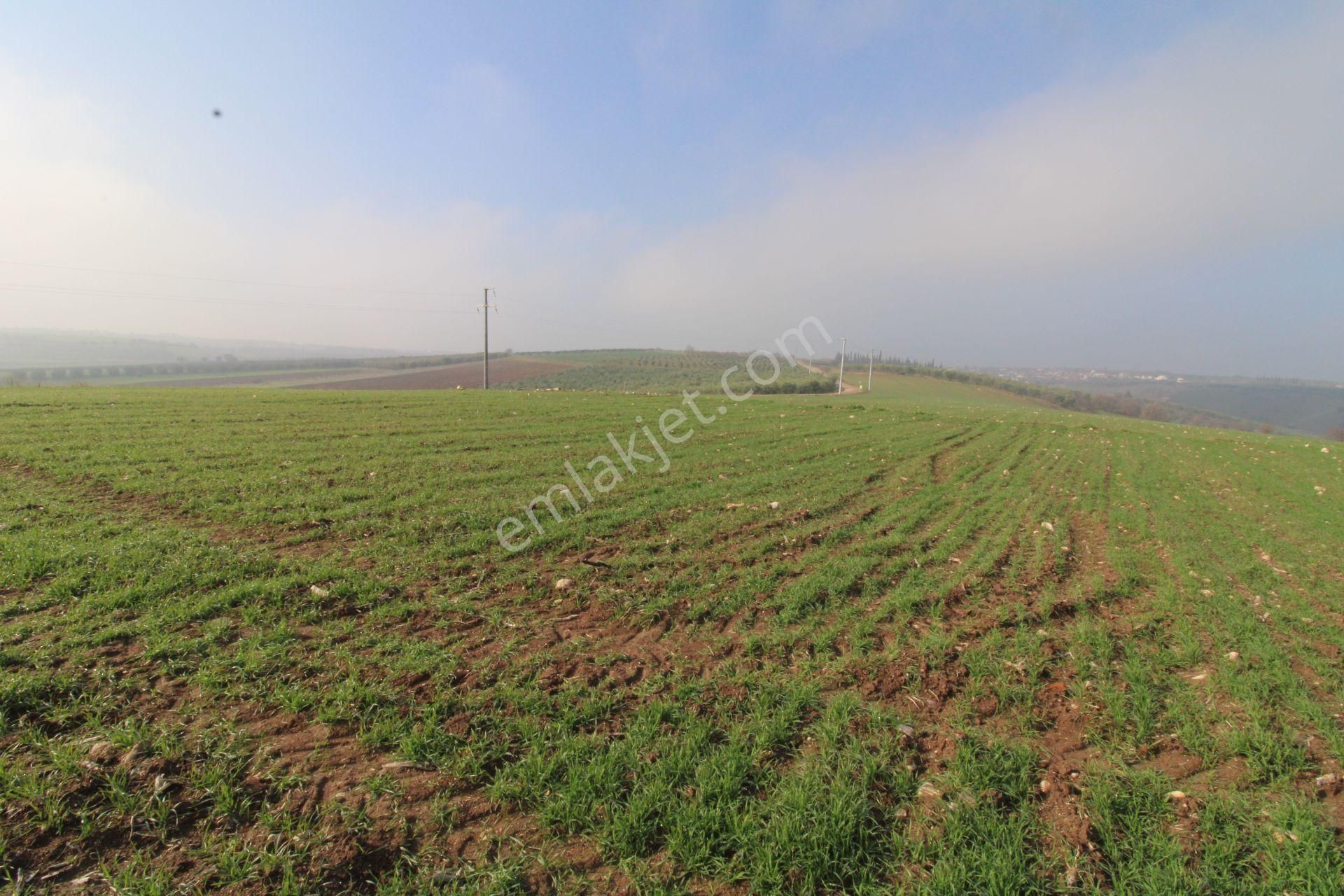Re/max'ten Bursa Danişment'de Yola Cepheli 25.300 M² Arazi - Görsel 29