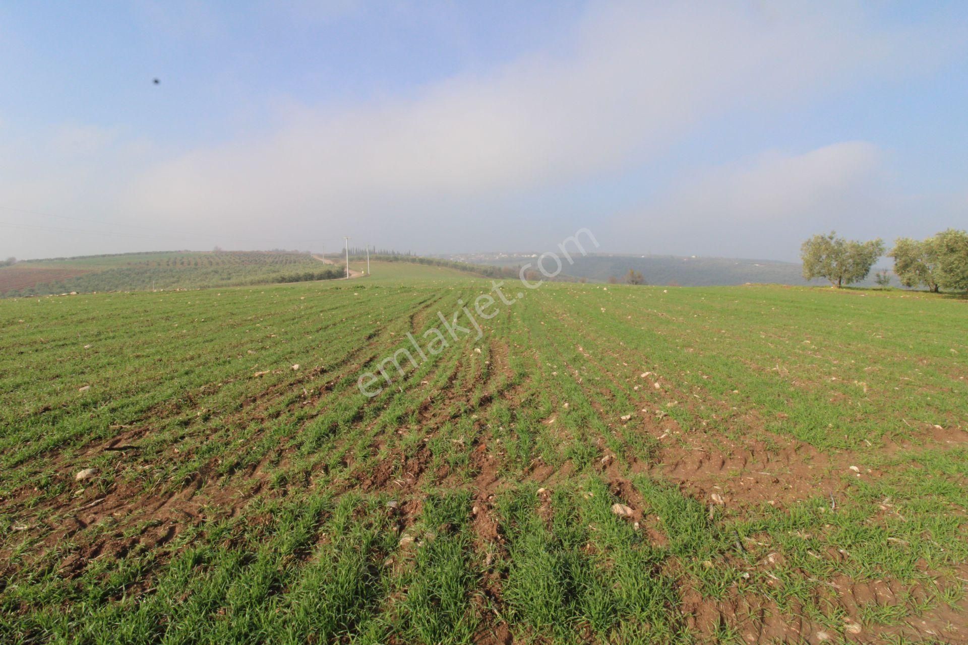 Re/max'ten Bursa Danişment'de Yola Cepheli 25.300 M² Arazi - Görsel 30