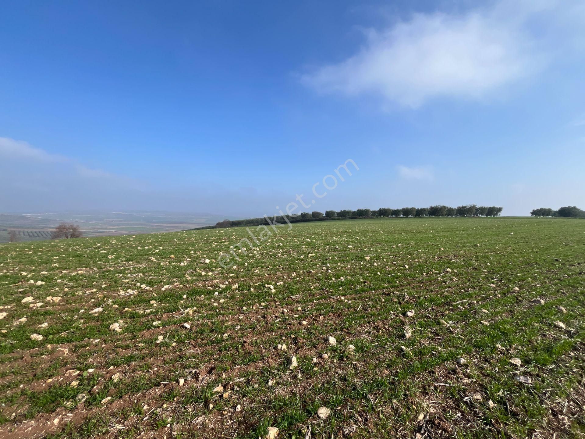 Re/max'ten Bursa Danişment'de Yola Cepheli 25.300 M² Arazi - Görsel 13