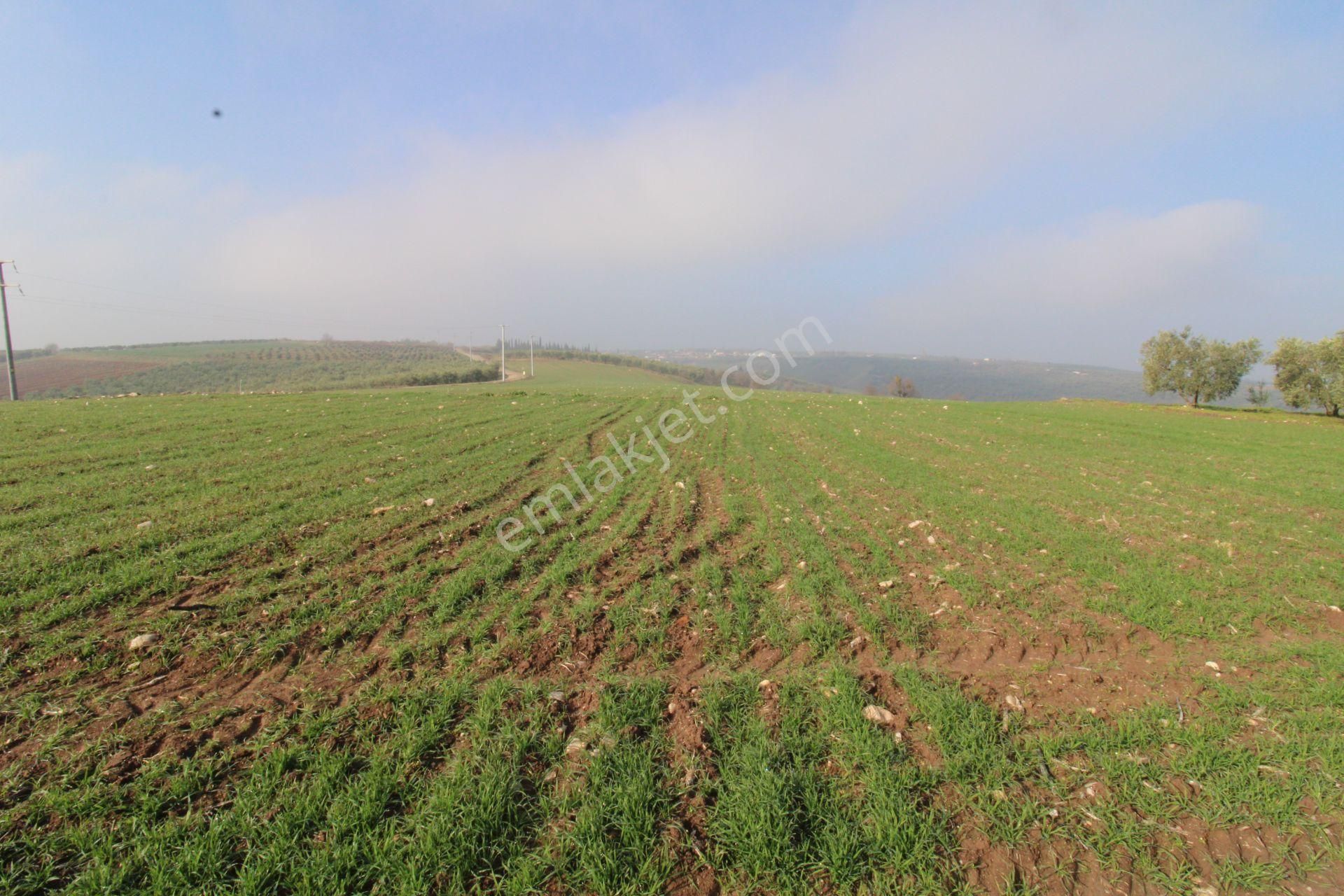 Re/max'ten Bursa Danişment'de Yola Cepheli 25.300 M² Arazi - Görsel 28