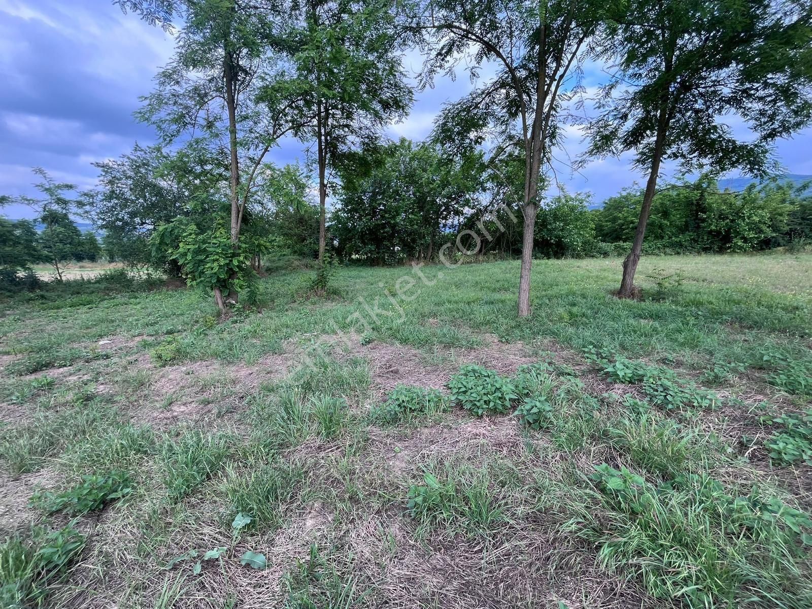 İnegöl Kurşunlu Köyü Satılık Tarla 688 M2 - Görsel 3