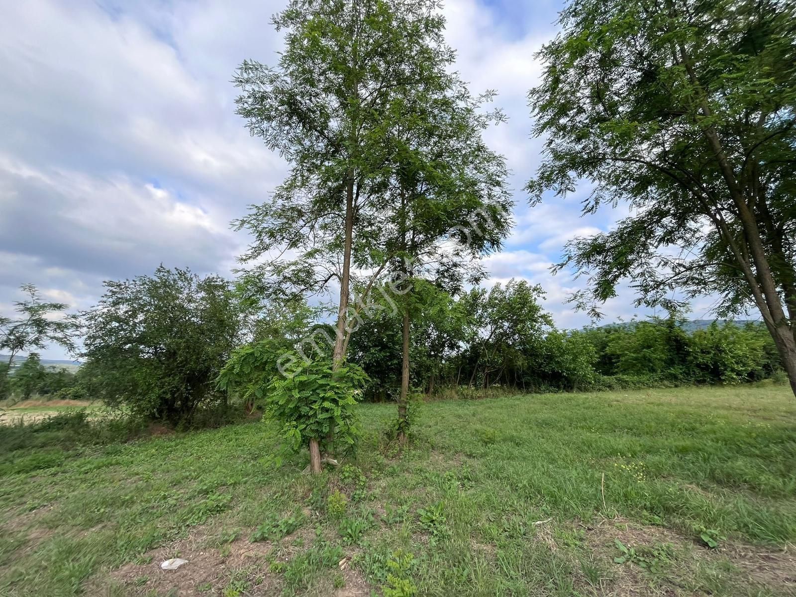 İnegöl Kurşunlu Köyü Satılık Tarla 688 M2 - Görsel 6